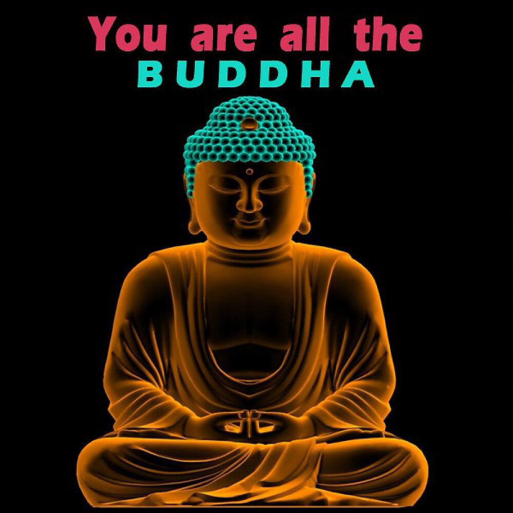 Yoga Tunes - Evolution Yoga: Awaking Consciousness