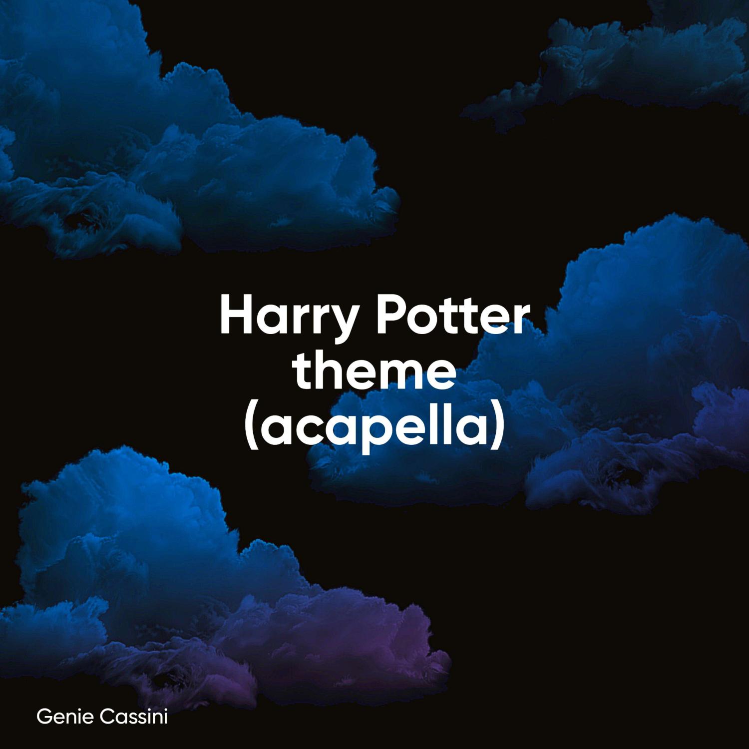 Постер альбома Harry Potter theme (acapella)