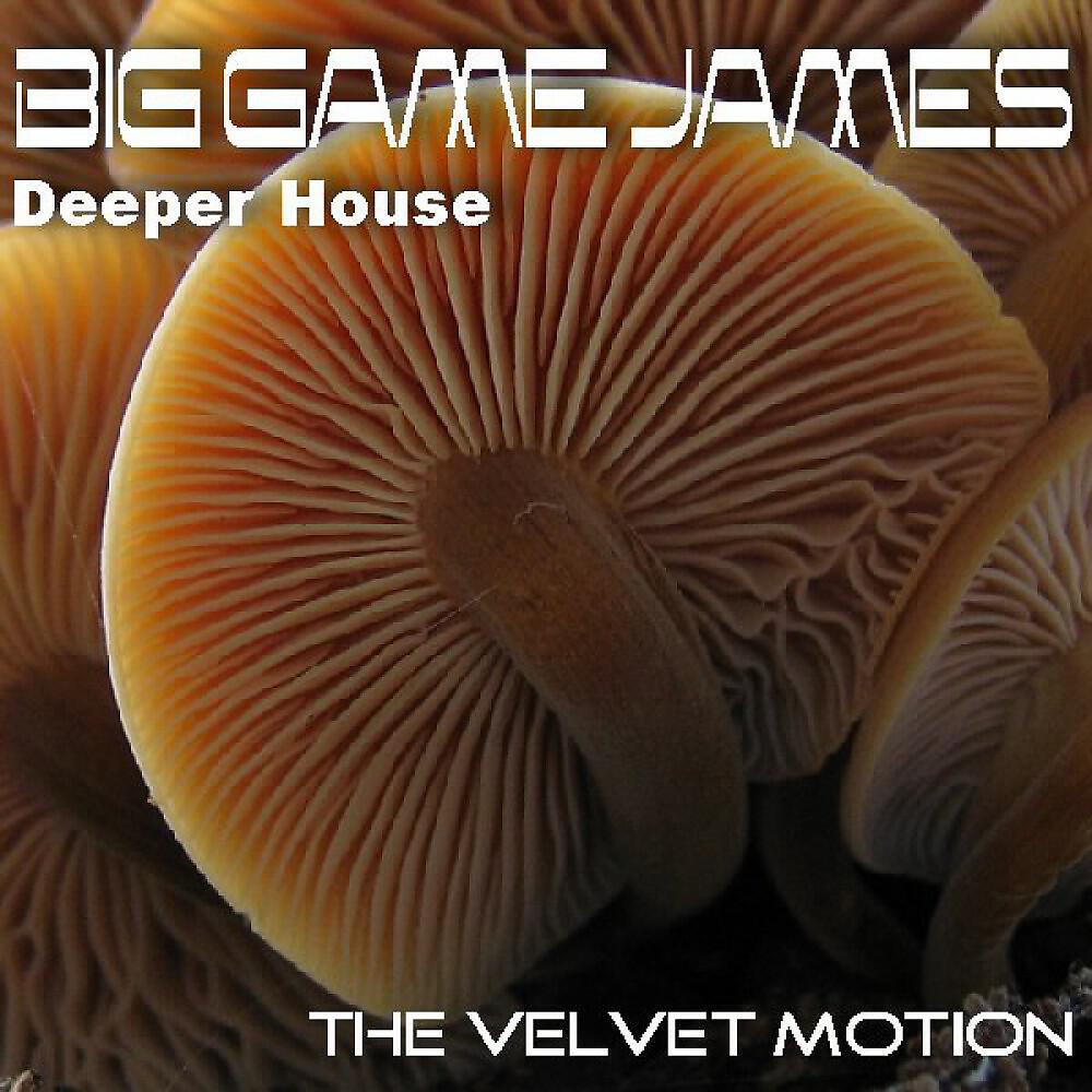 Big Game James - Orgasmik Funk (Original)