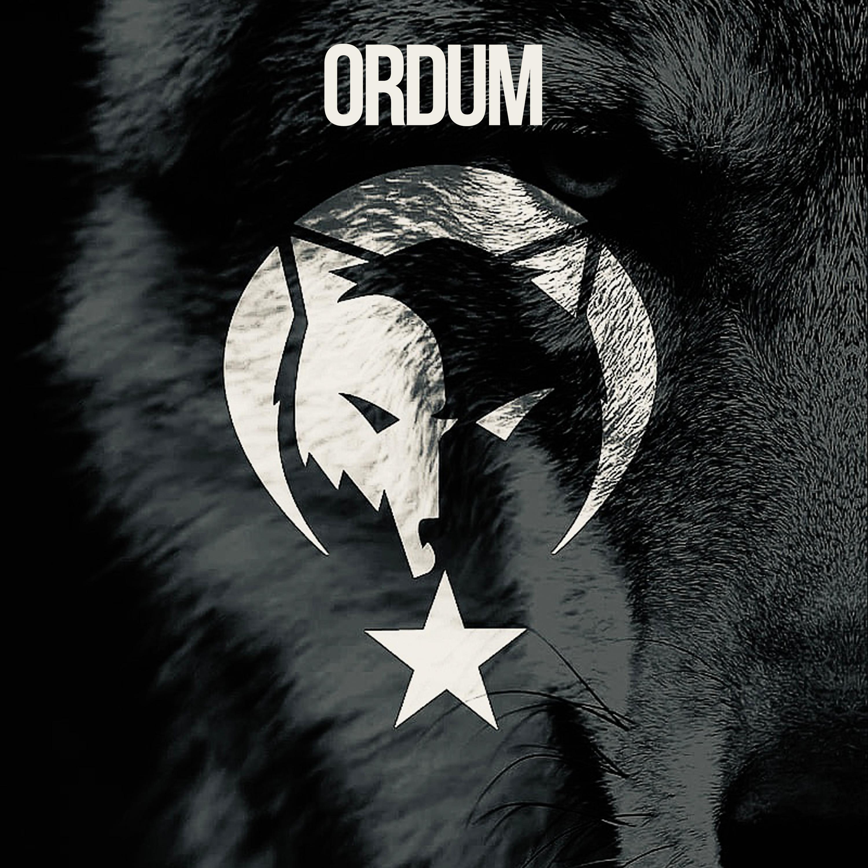 Постер альбома Ordum