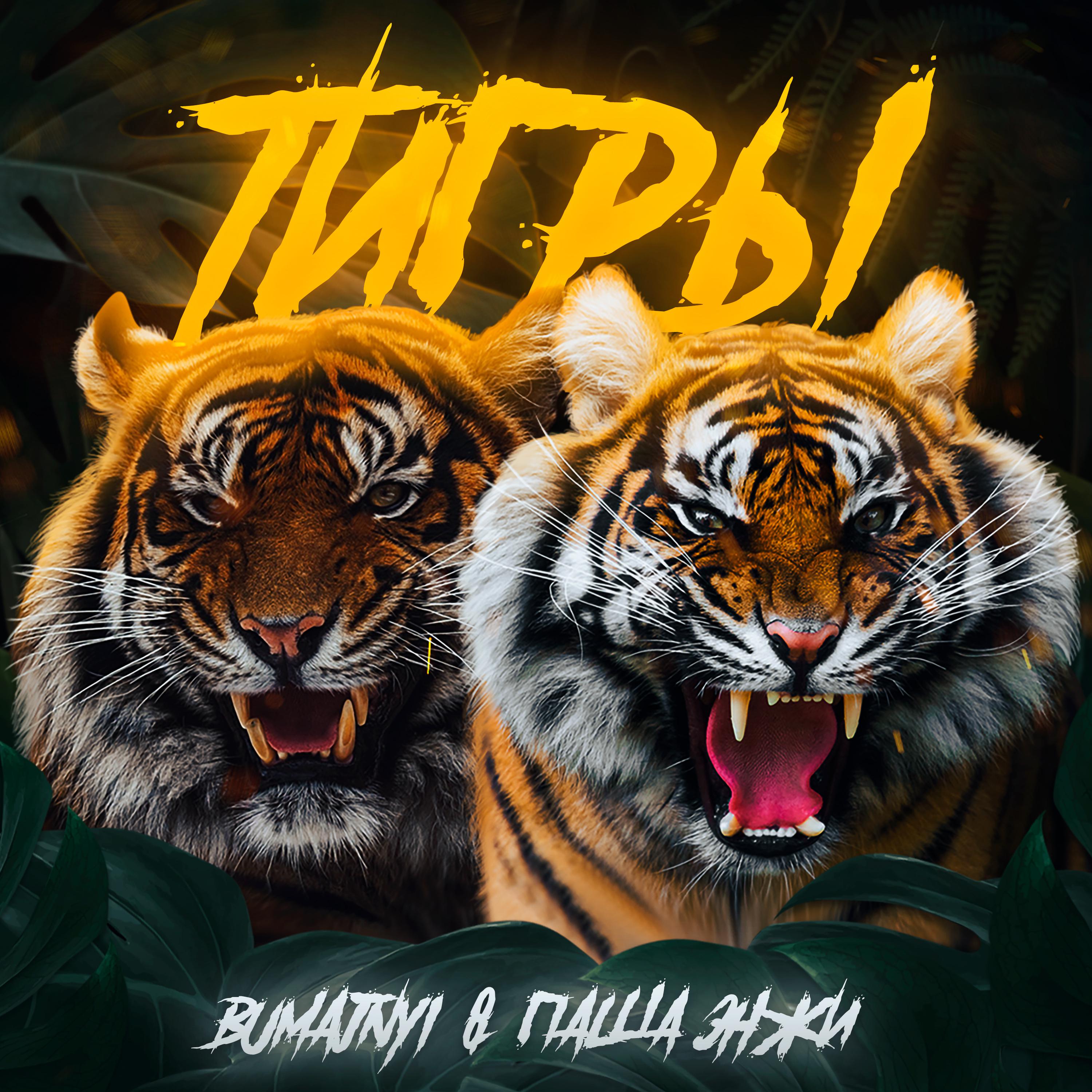 Постер альбома Тигры