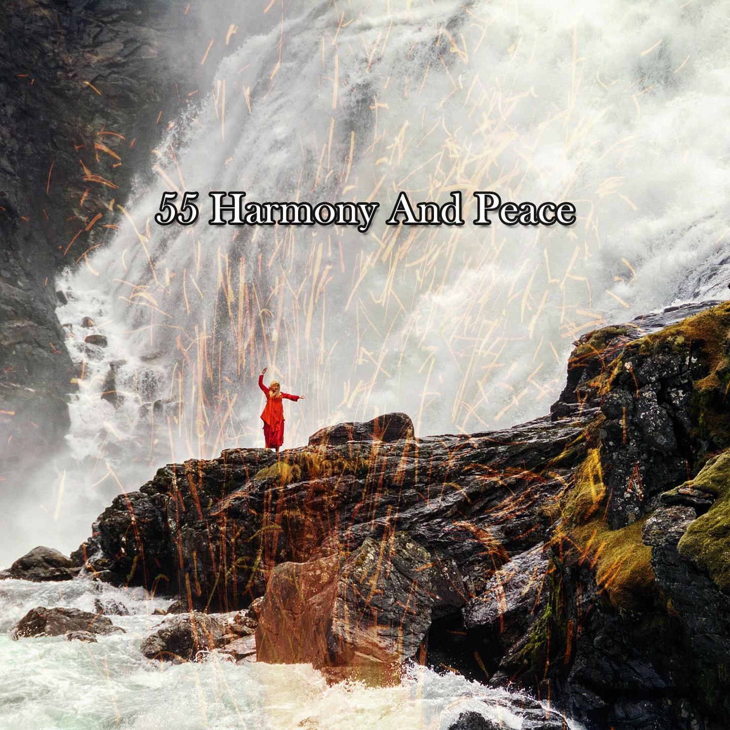 Постер альбома 55 Harmony And Peace
