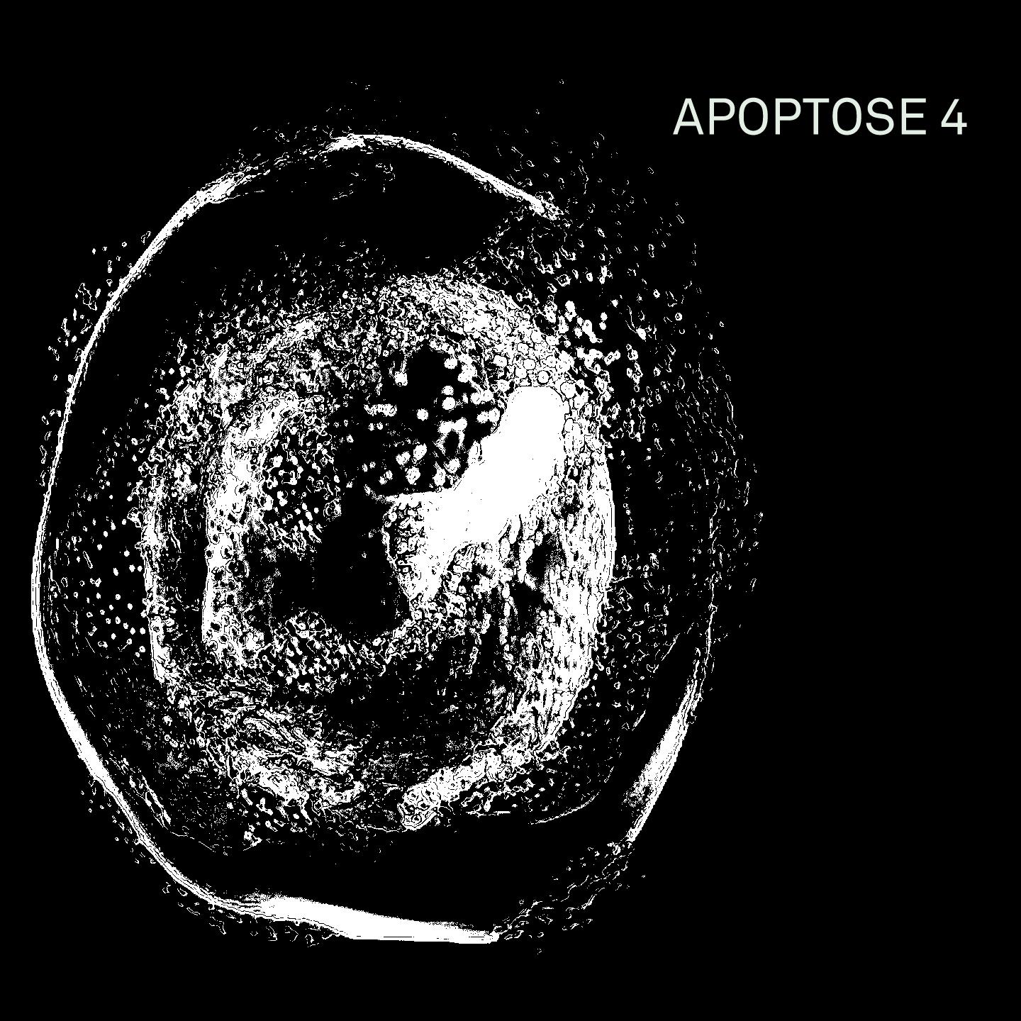 Постер альбома Apoptose 4