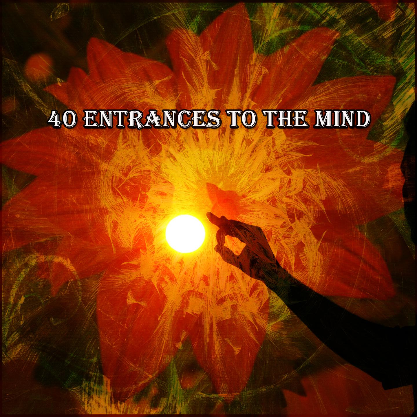 Постер альбома 40 Entrances To The Mind