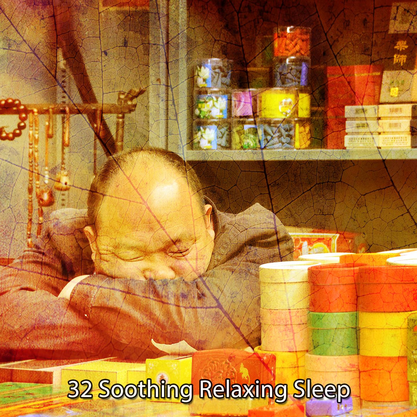 Постер альбома 32 Soothing Relaxing Sleep