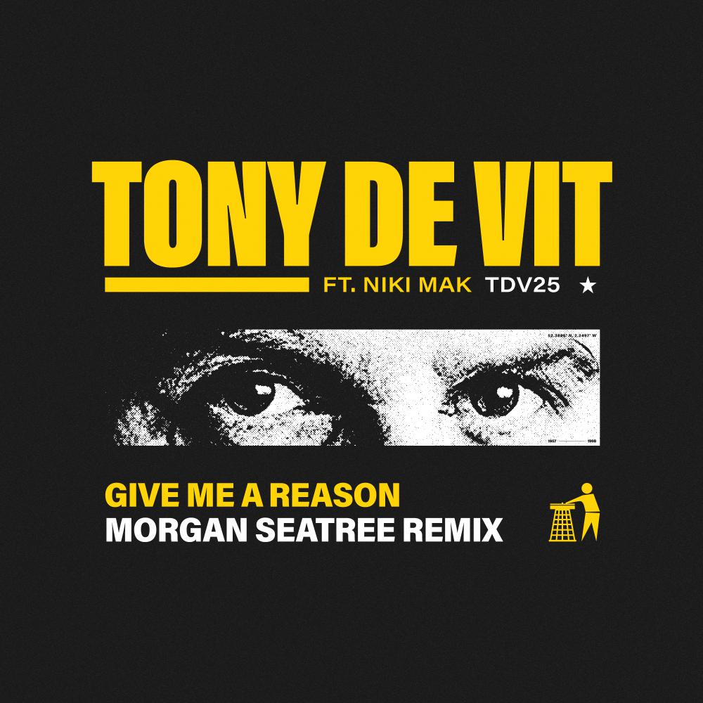 Постер альбома Give Me A Reason (Morgan Seatree Remix)