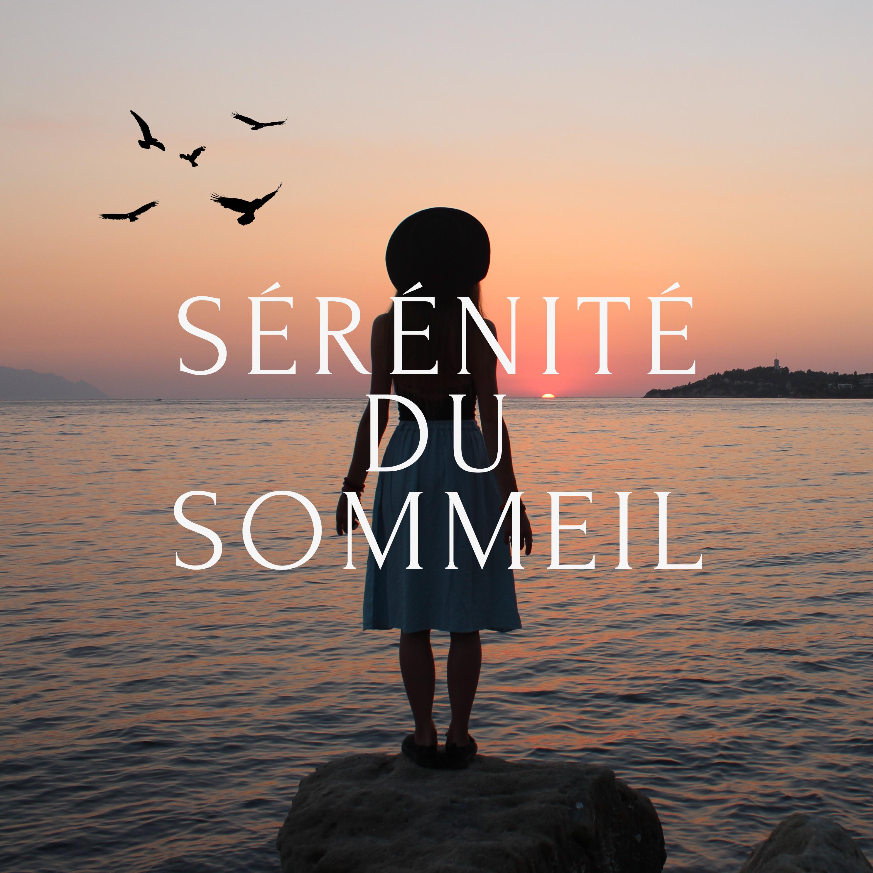 Постер альбома Sérénité du Sommeil