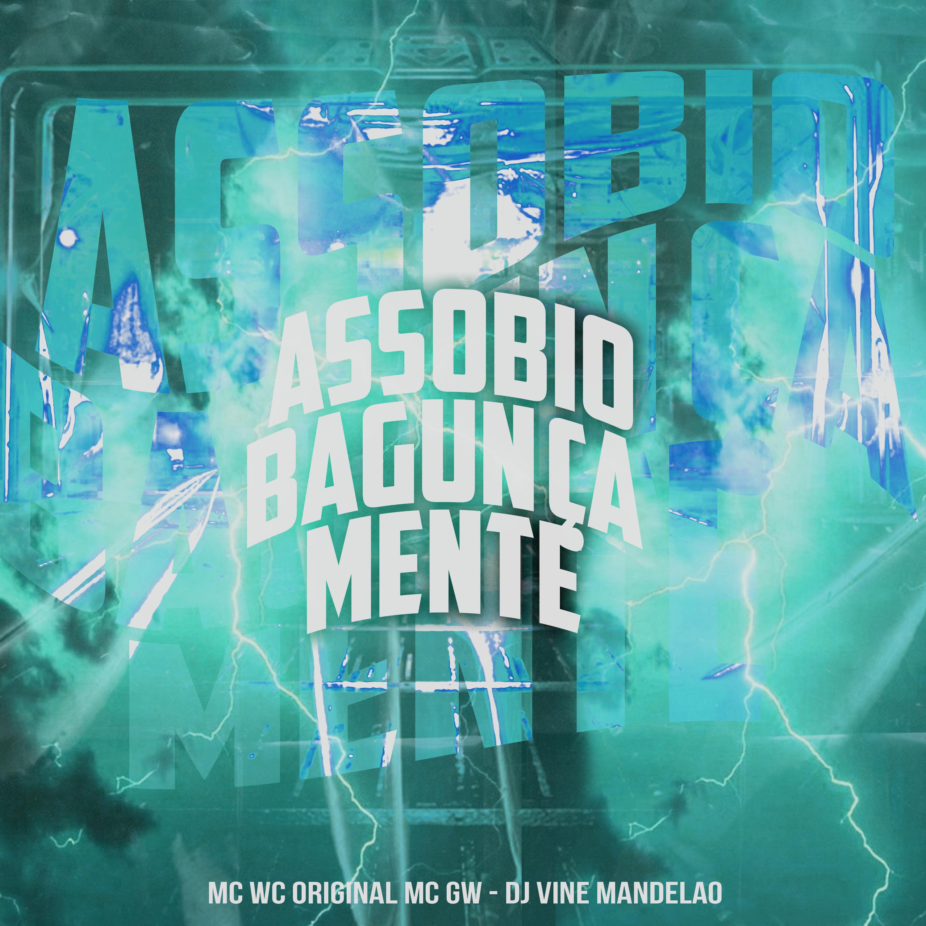 Постер альбома Assobio Bagunça Mente