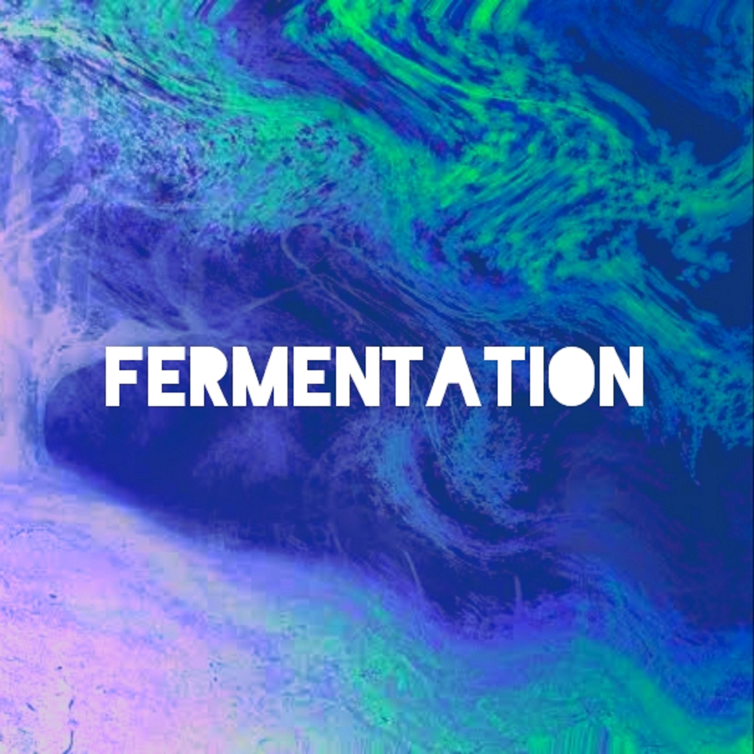 Постер альбома Fermentation