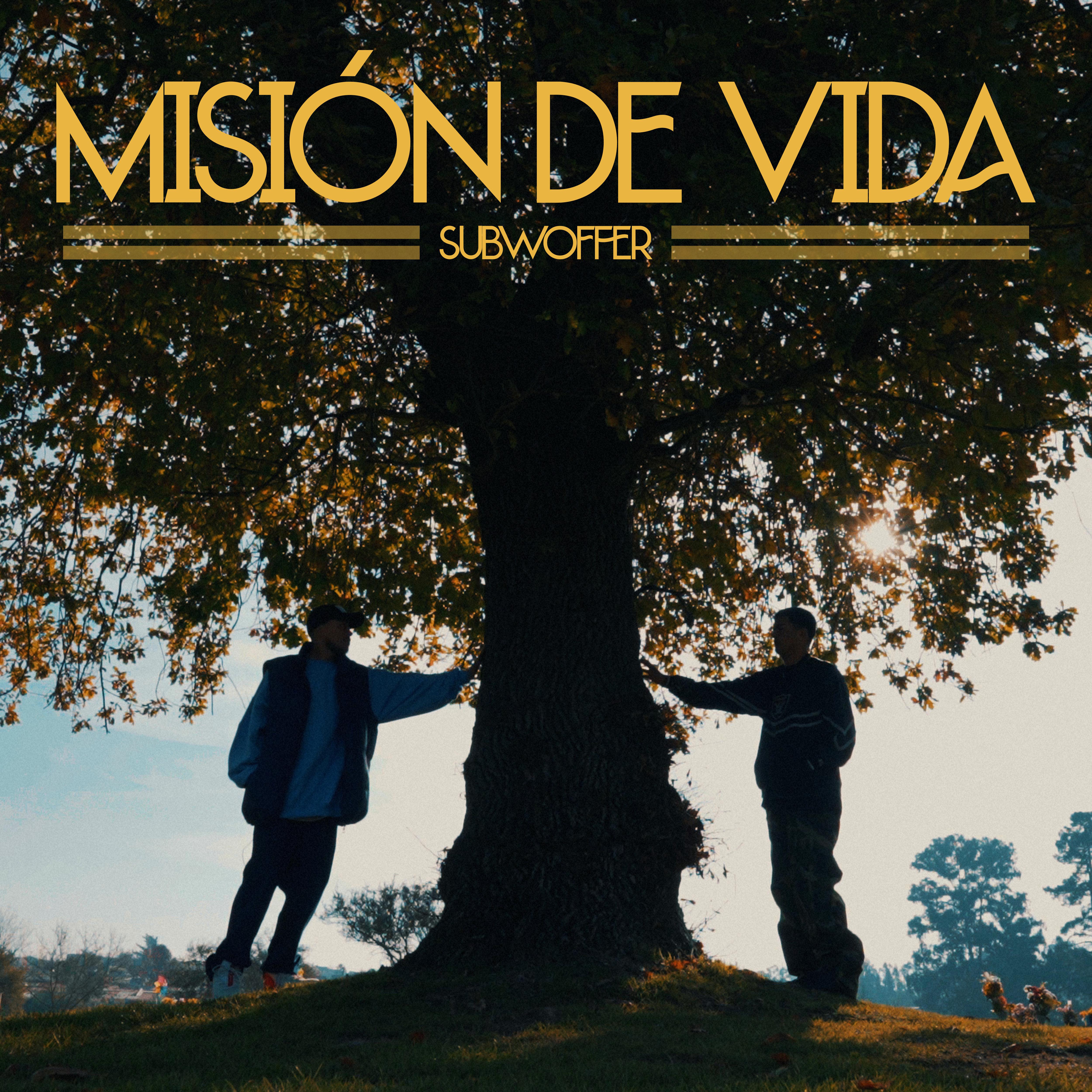 Постер альбома Misión de Vida