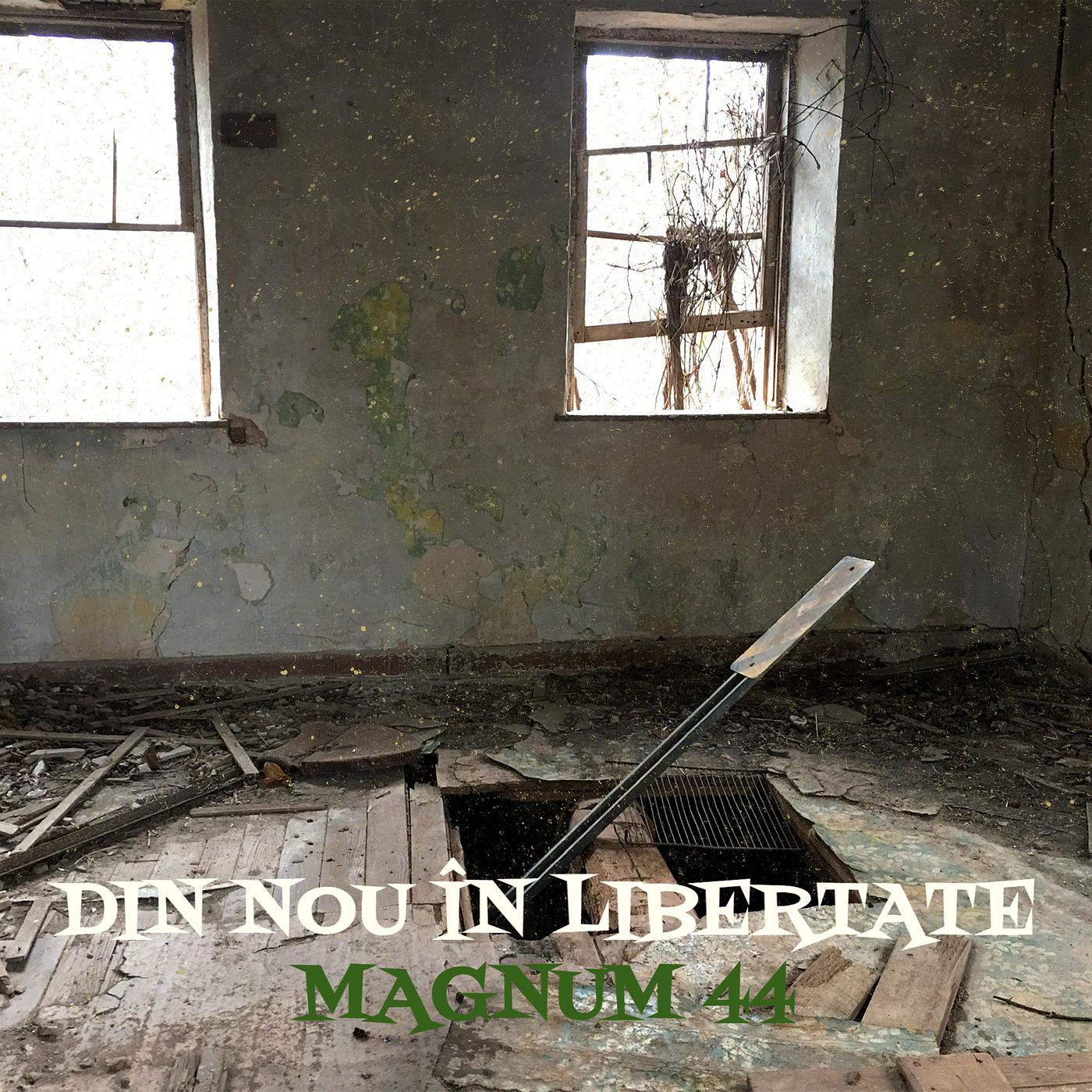 Постер альбома Din Nou În Libertate