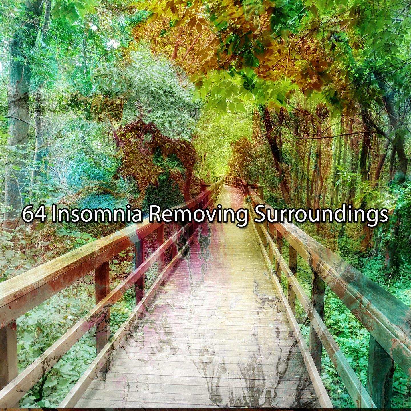 Постер альбома 64 Insomnia Removing Surroundings