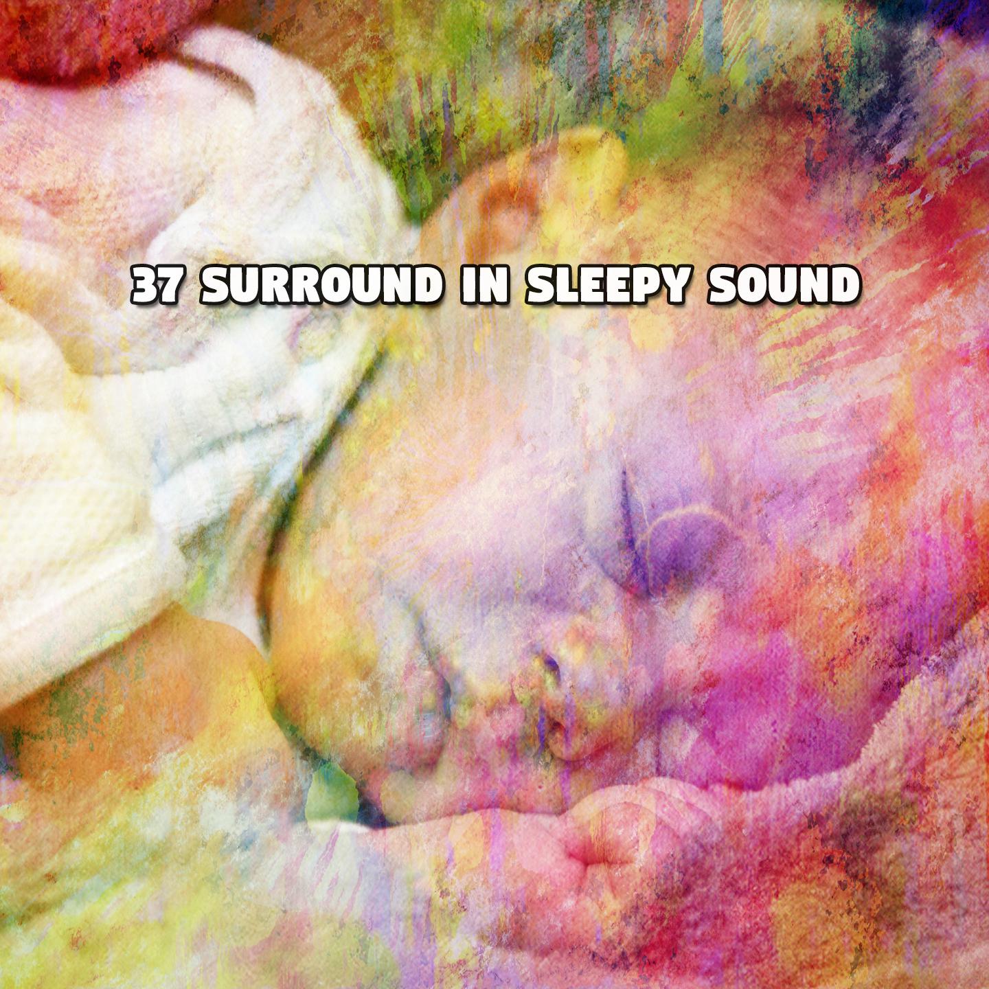 Постер альбома 37 Surround In Sleepy Sound