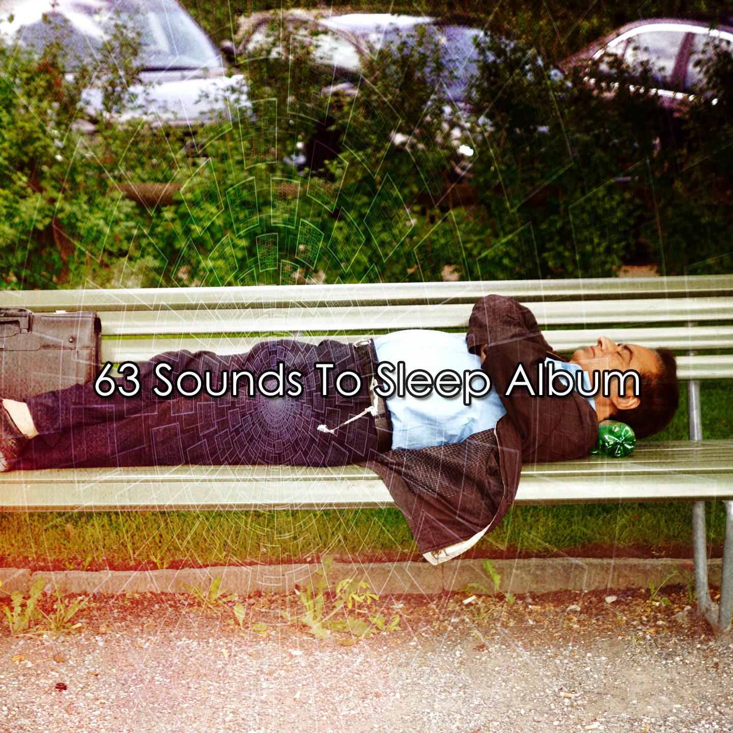 Постер альбома 63 Sounds To Sleep Album