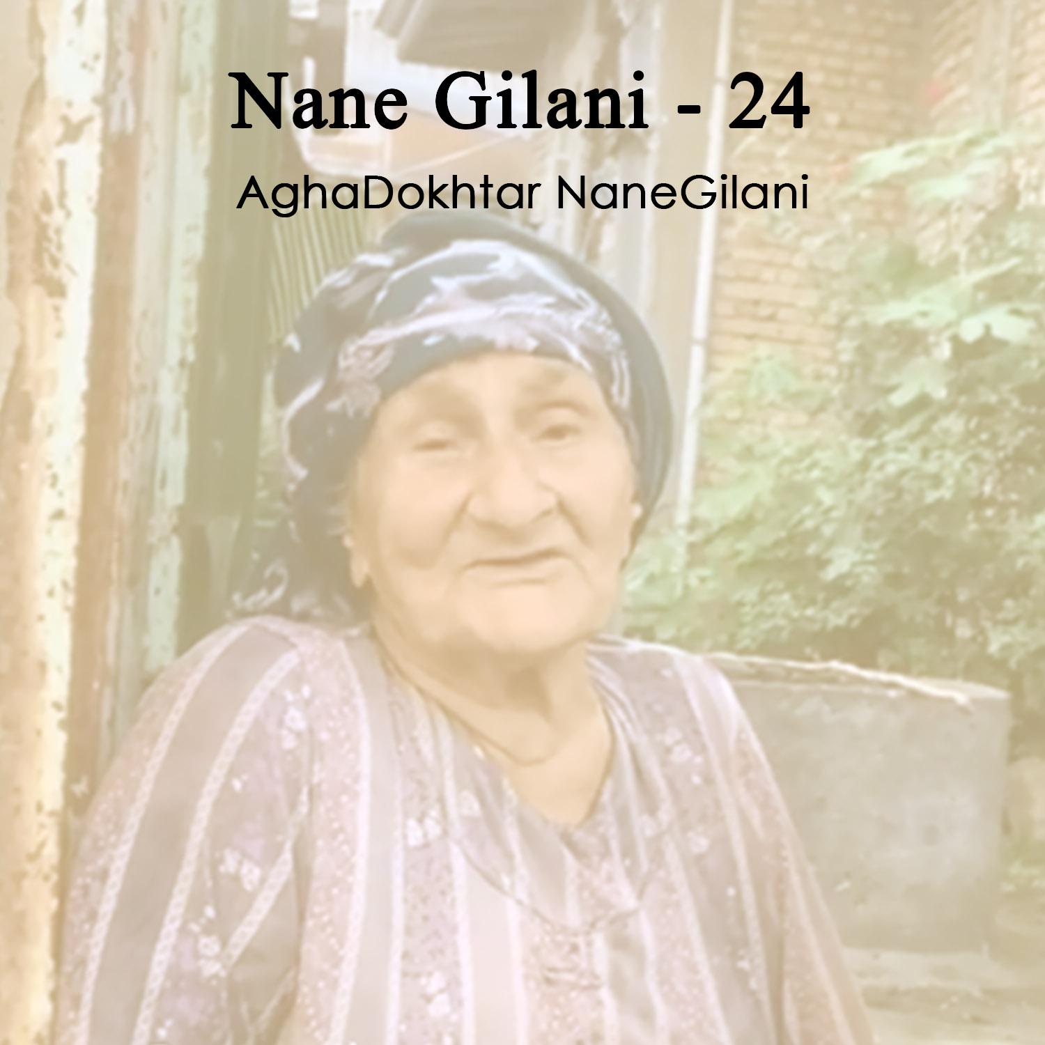 Постер альбома Nane Gilani - 24