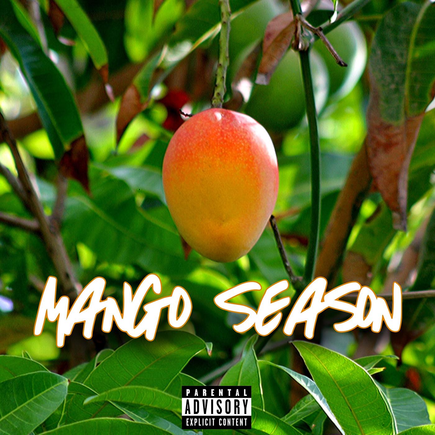 Постер альбома Mango Season