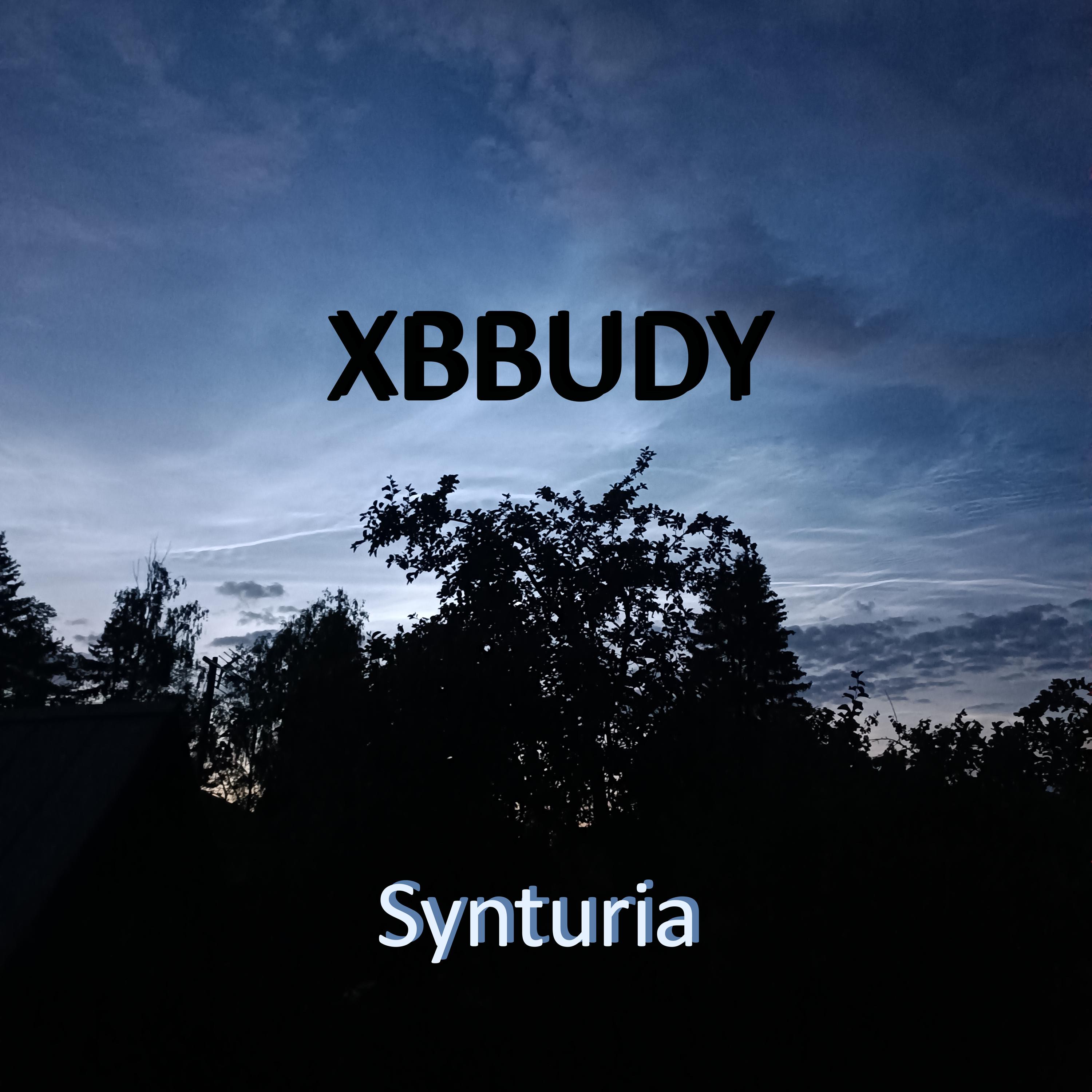Постер альбома Synturia