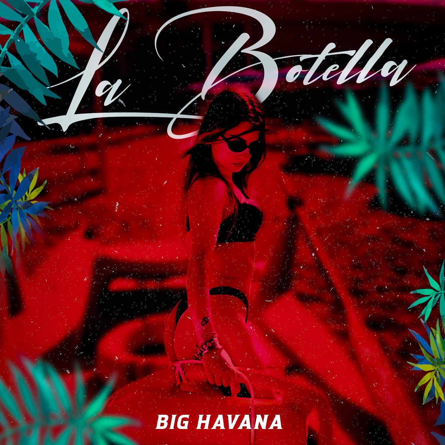 Постер альбома La Botella