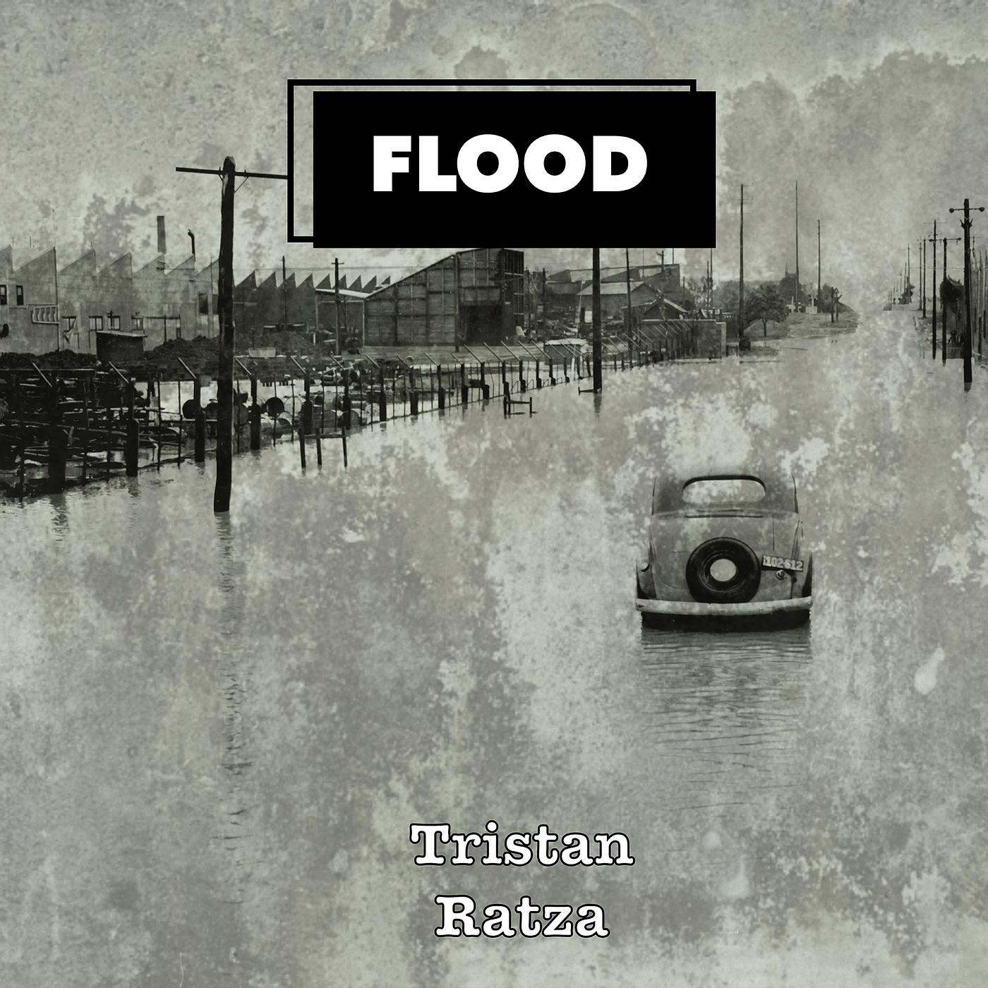 Постер альбома Flood