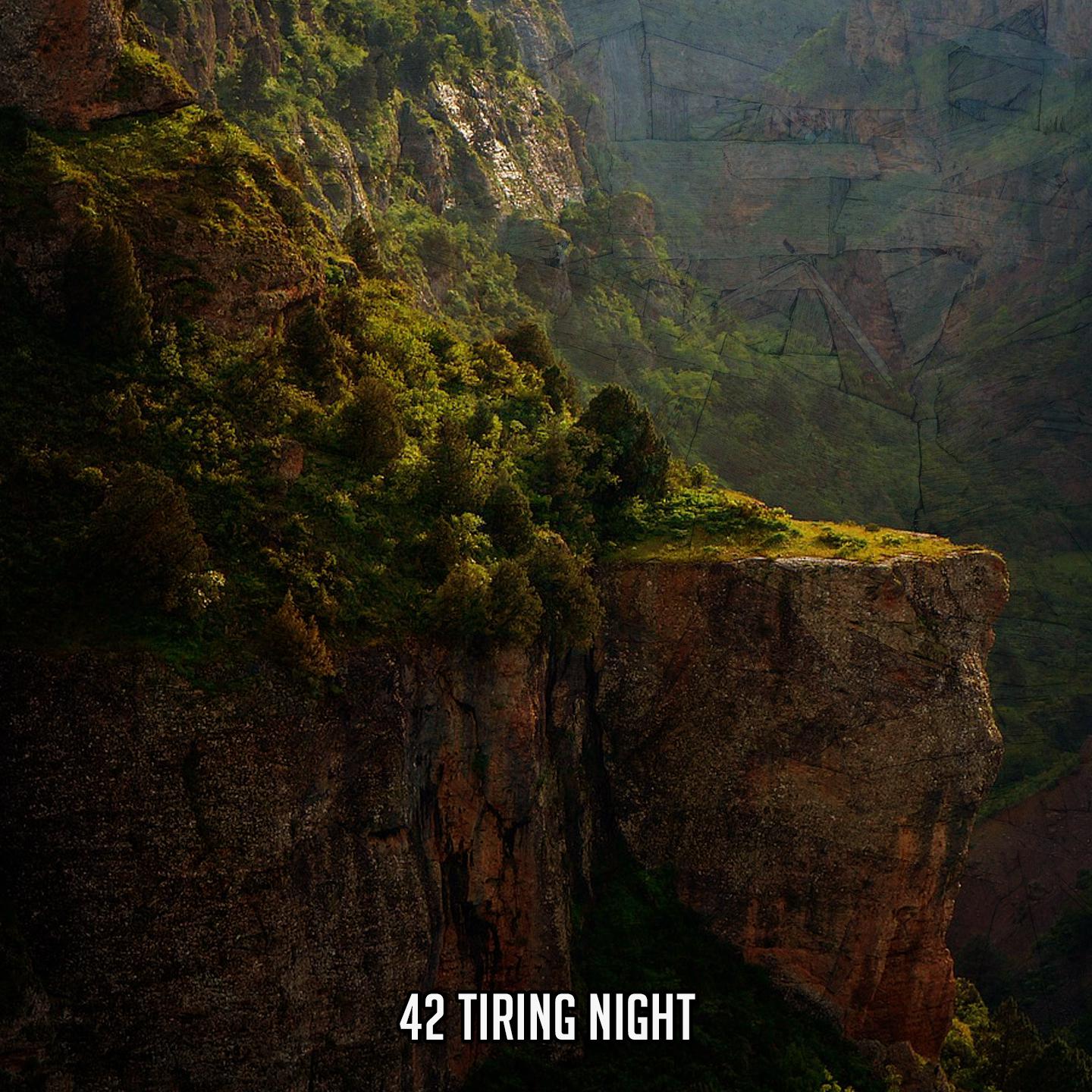 Постер альбома 42 Tiring Night
