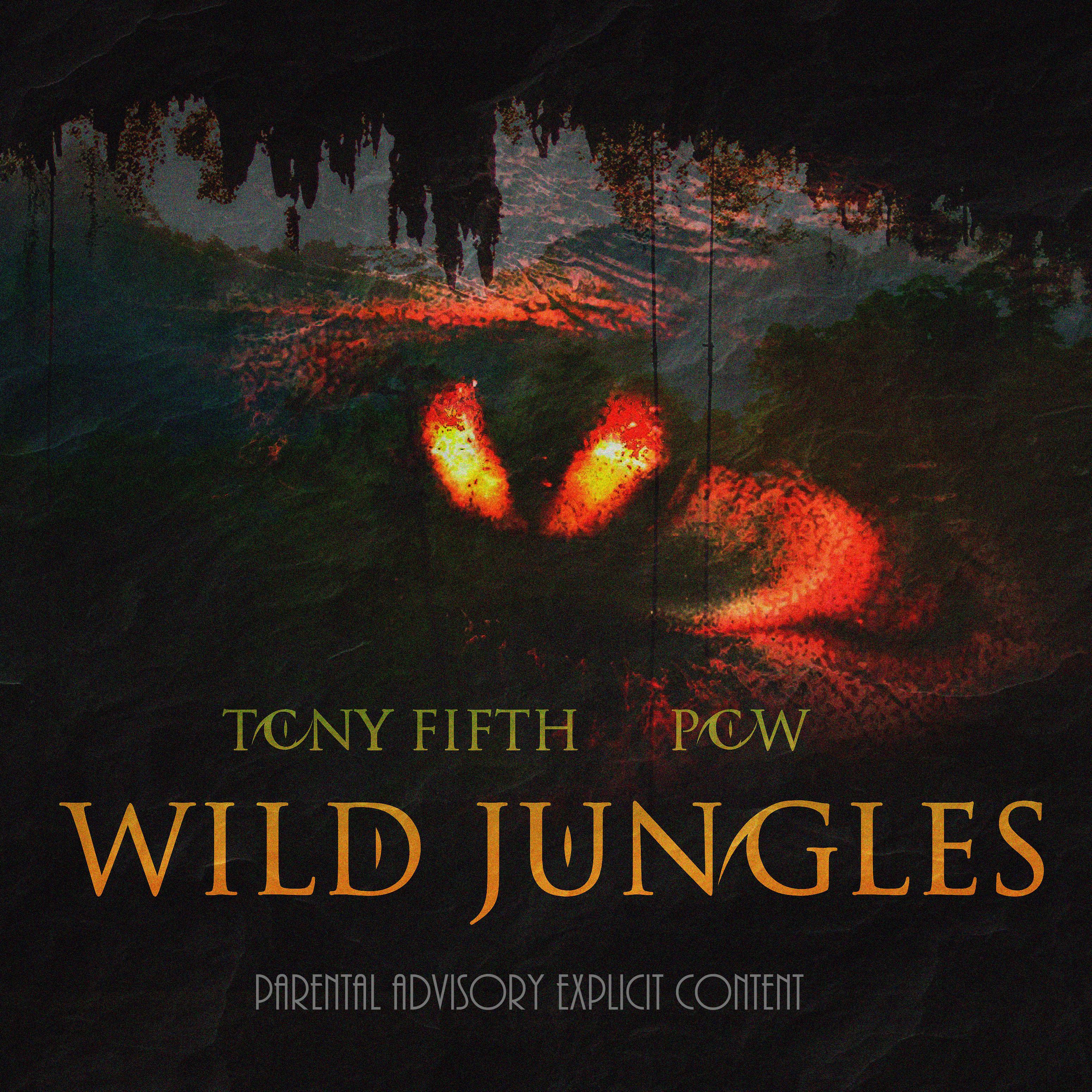 Постер альбома Wild Jungles