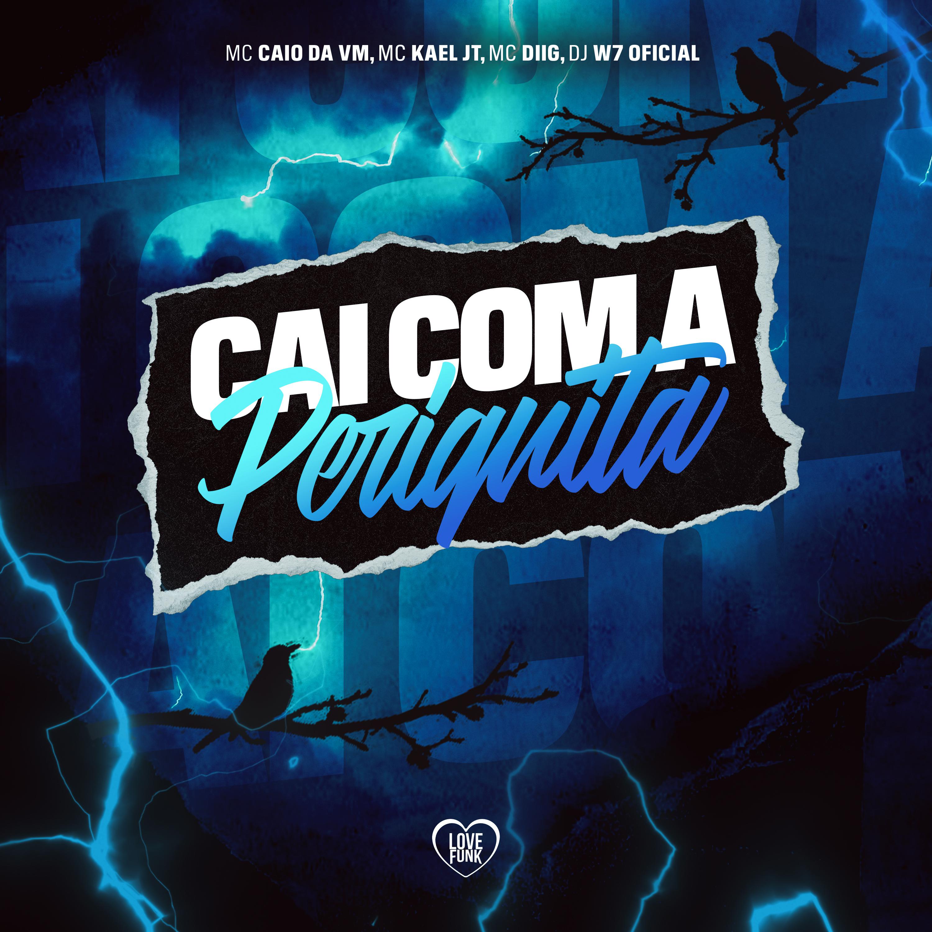 Постер альбома Cai Com a Periquita