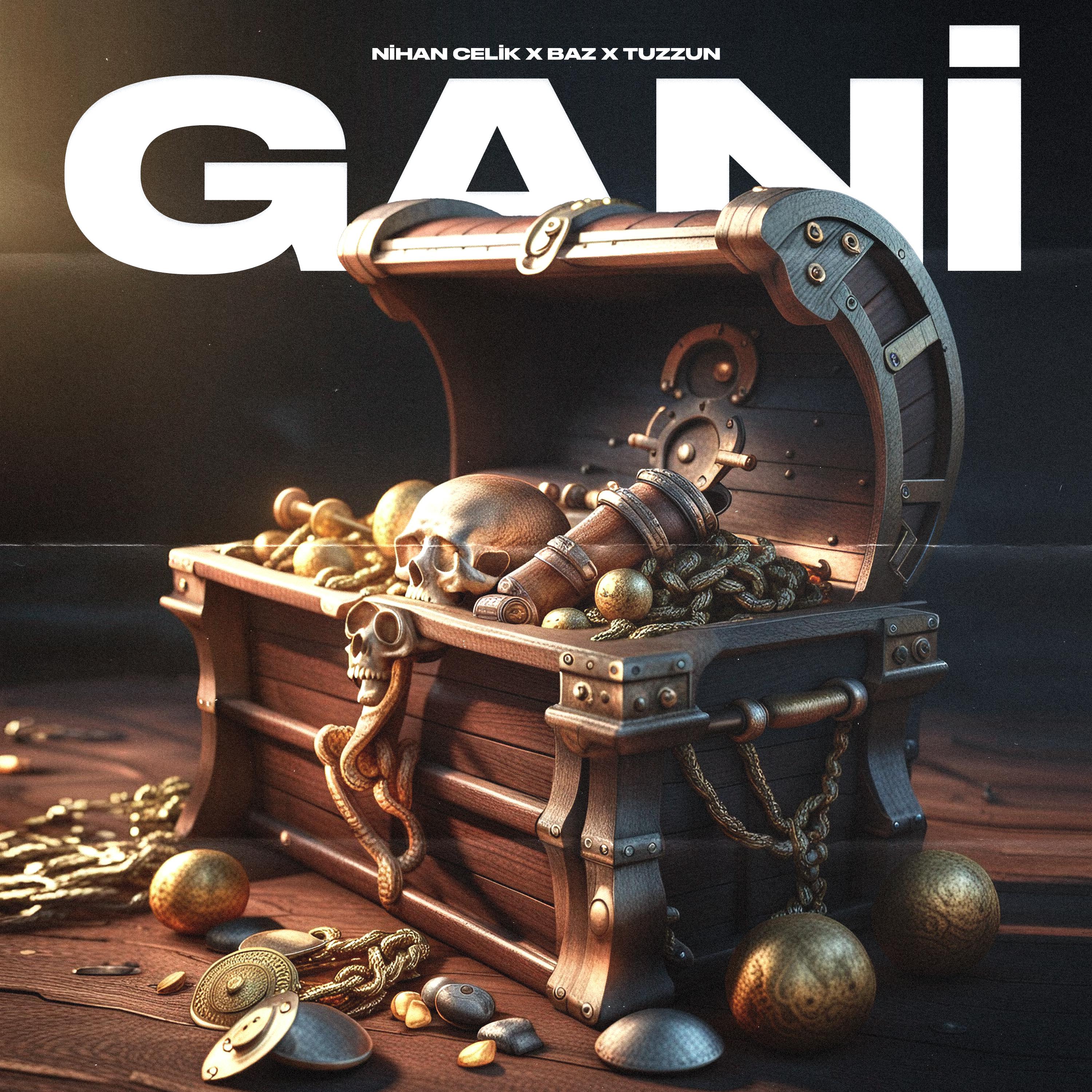 Постер альбома Gani