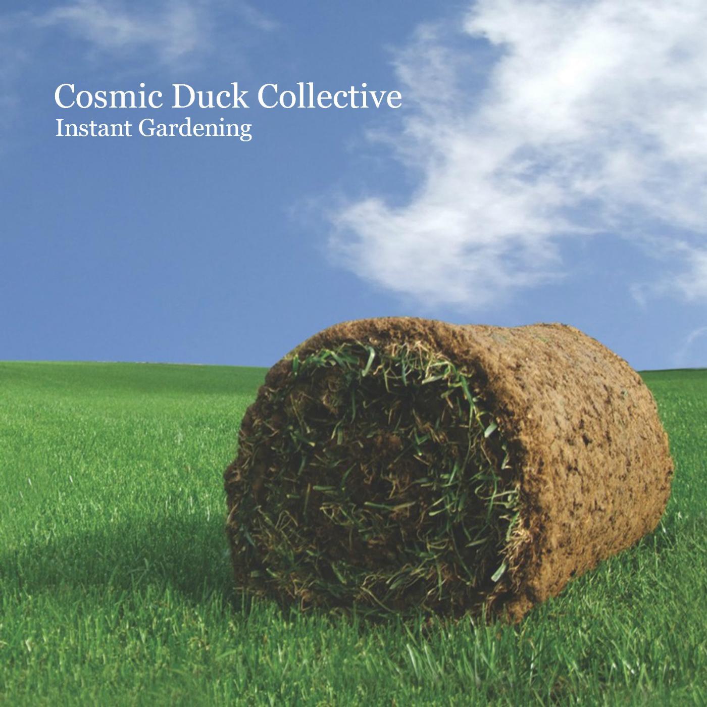 Cosmic Duck Collective - Space Funk 2000