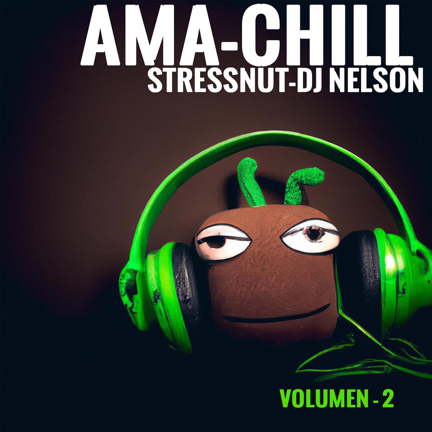 Постер альбома Ama Chill, Vol. 2