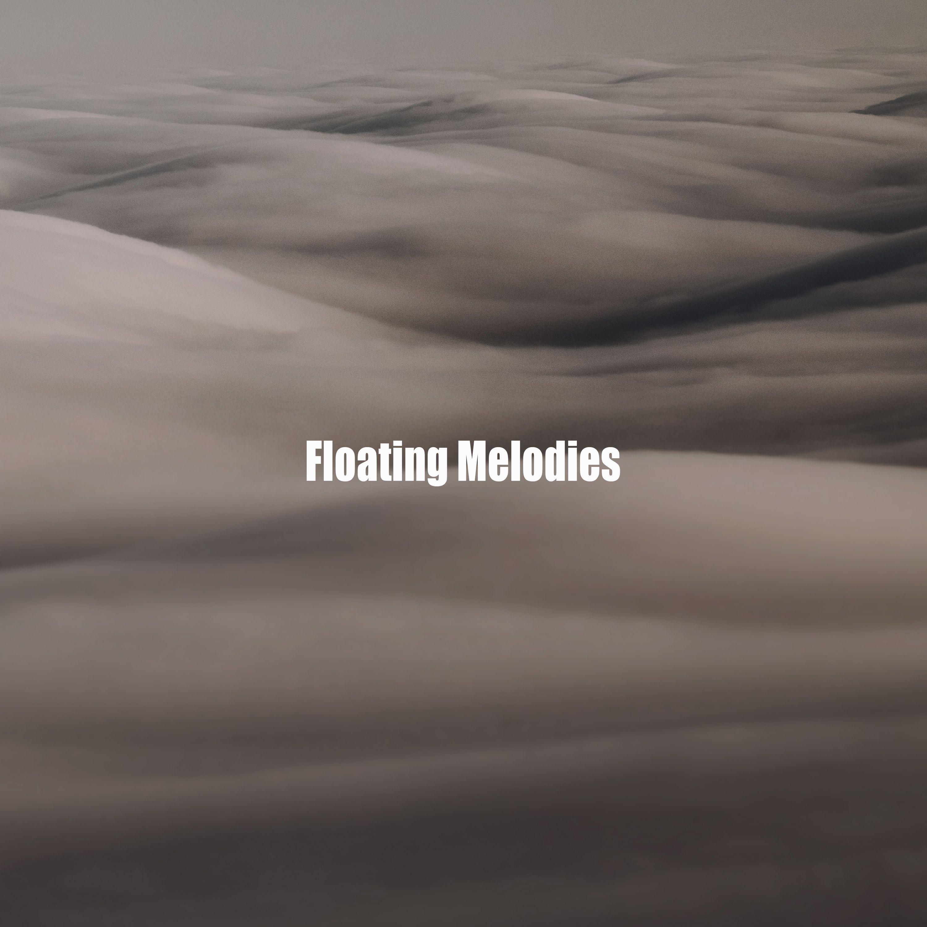 Постер альбома Floating Melodies