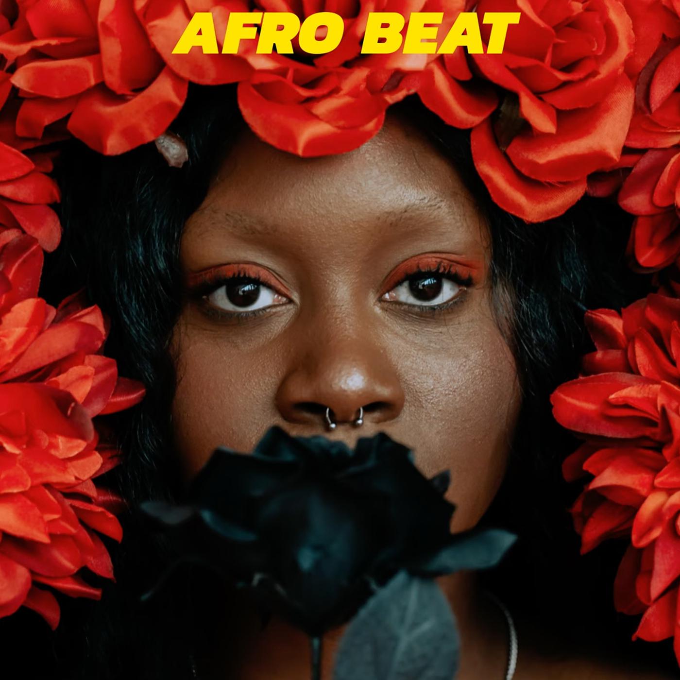 Постер альбома Afro Beat