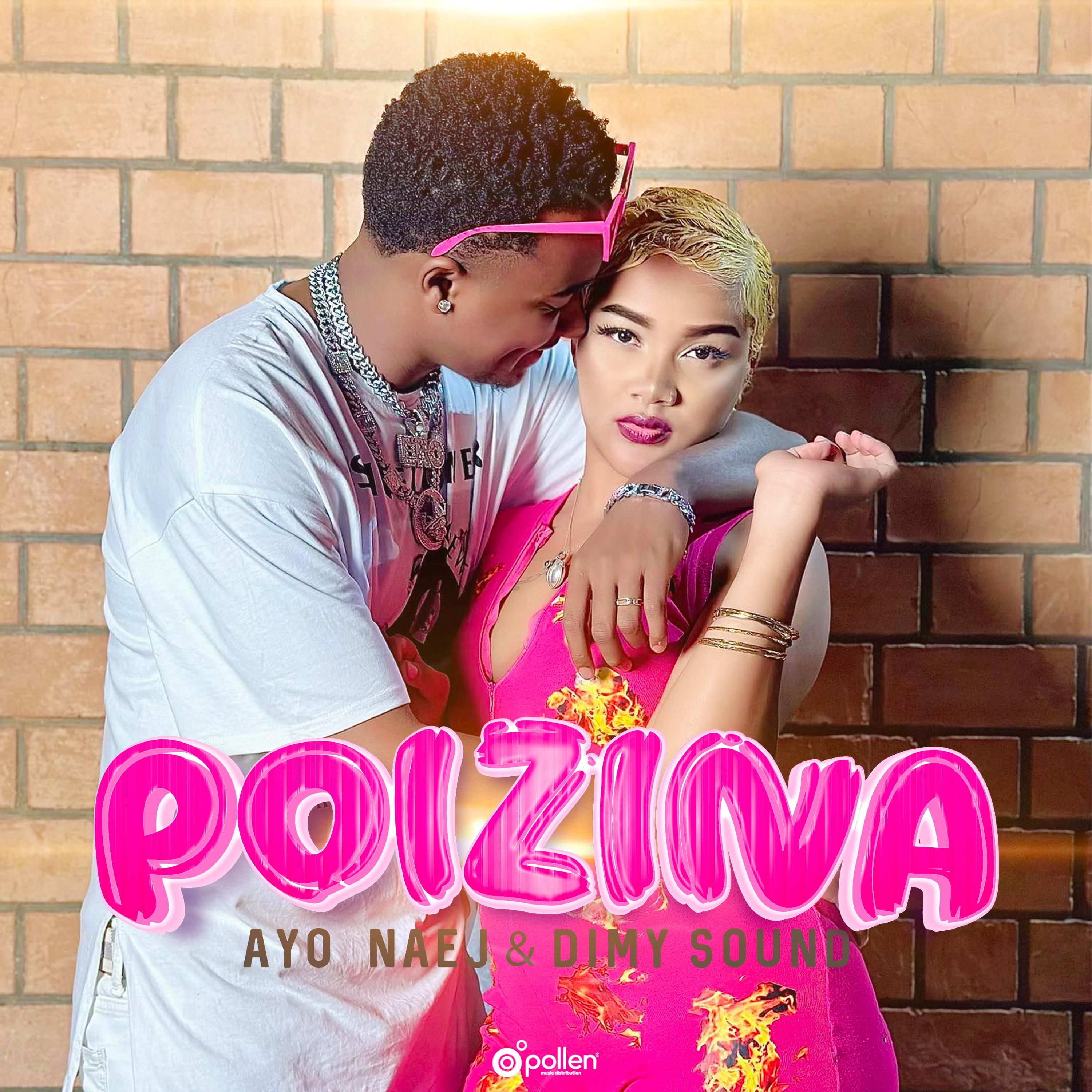 Постер альбома Poizina