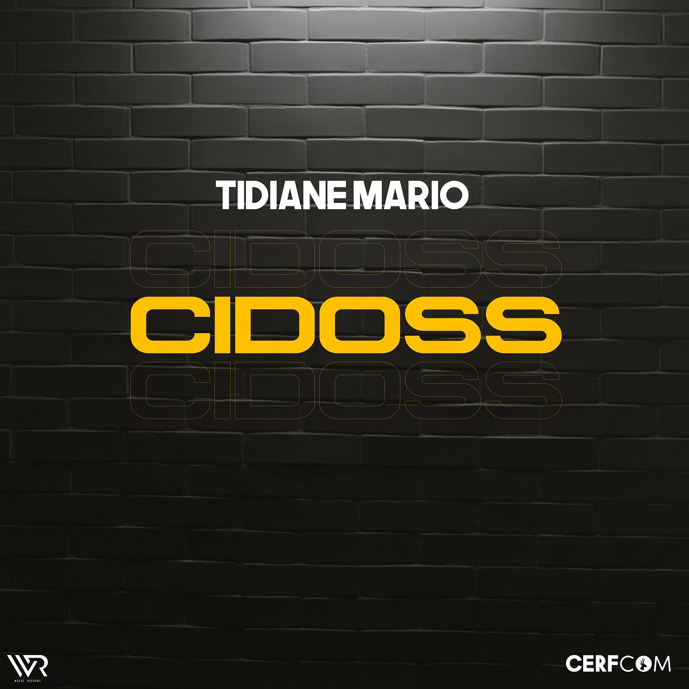 Постер альбома Cidoss