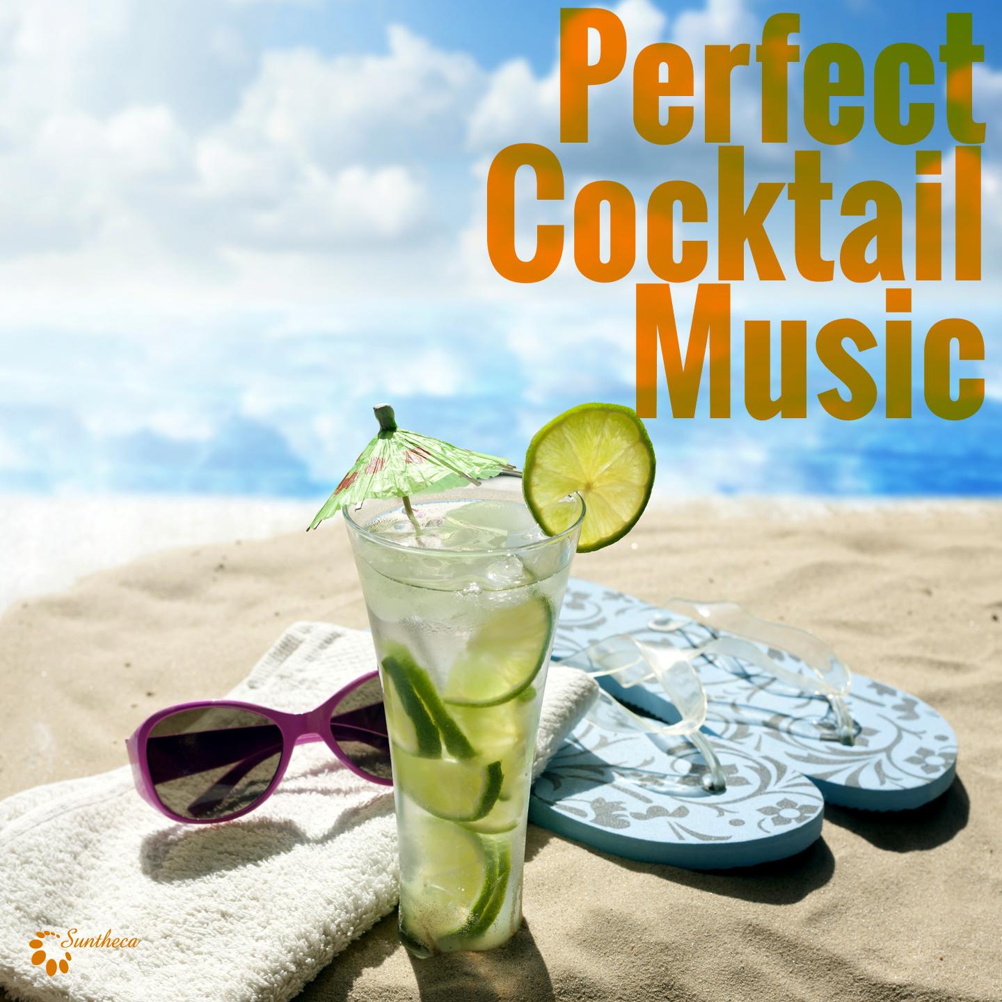 Постер альбома Perfect Cocktail Music