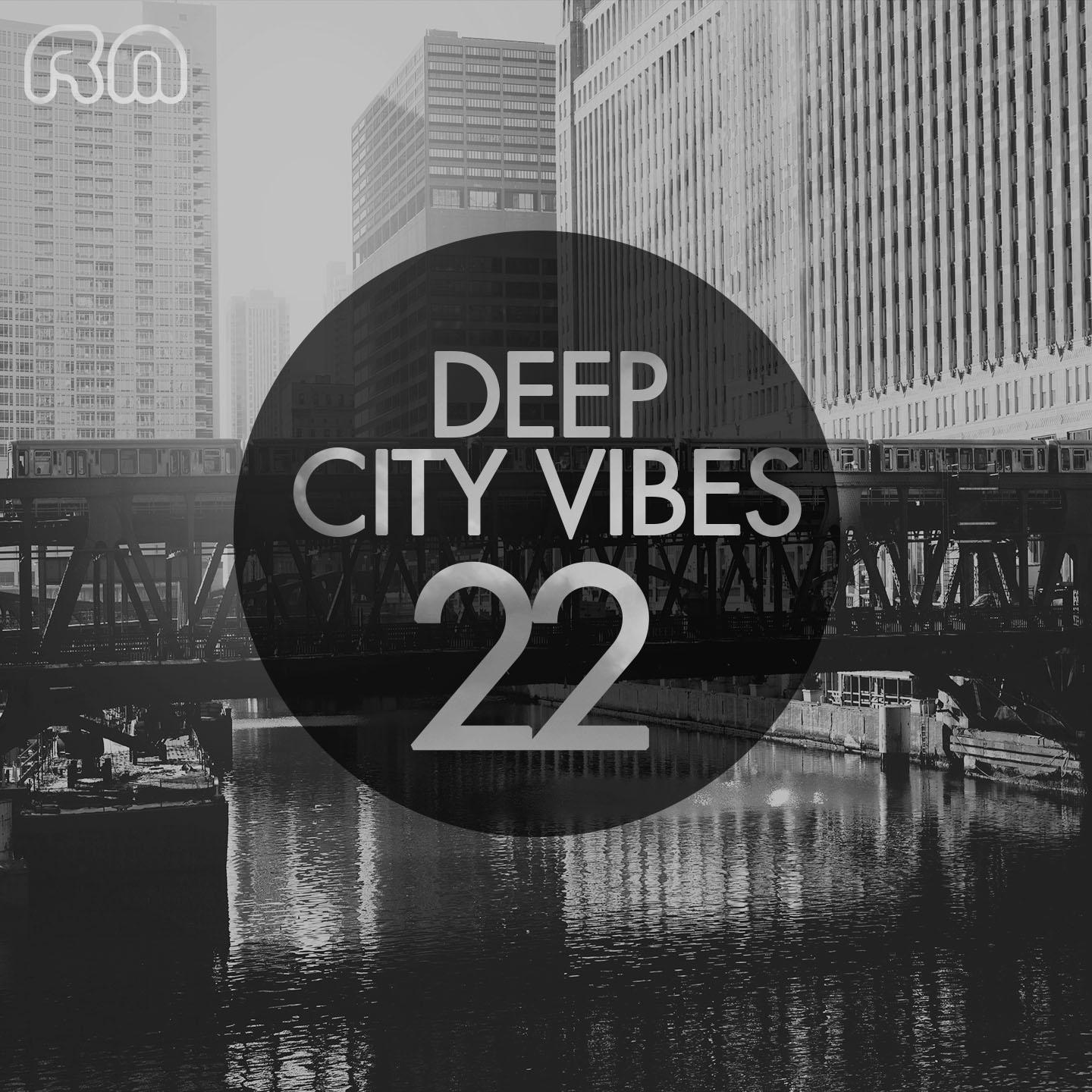 Постер альбома Deep City Vibes, Vol. 22