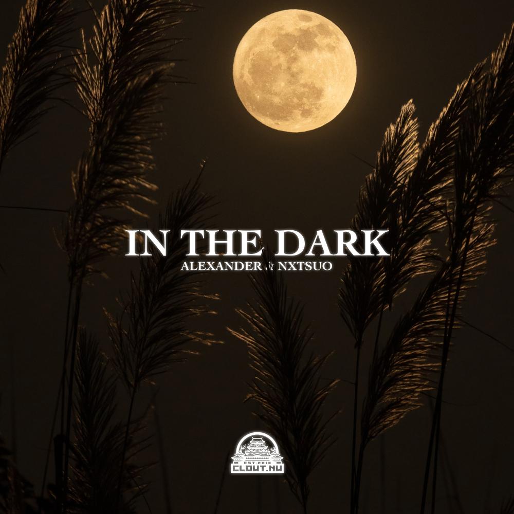 Постер альбома In The Dark