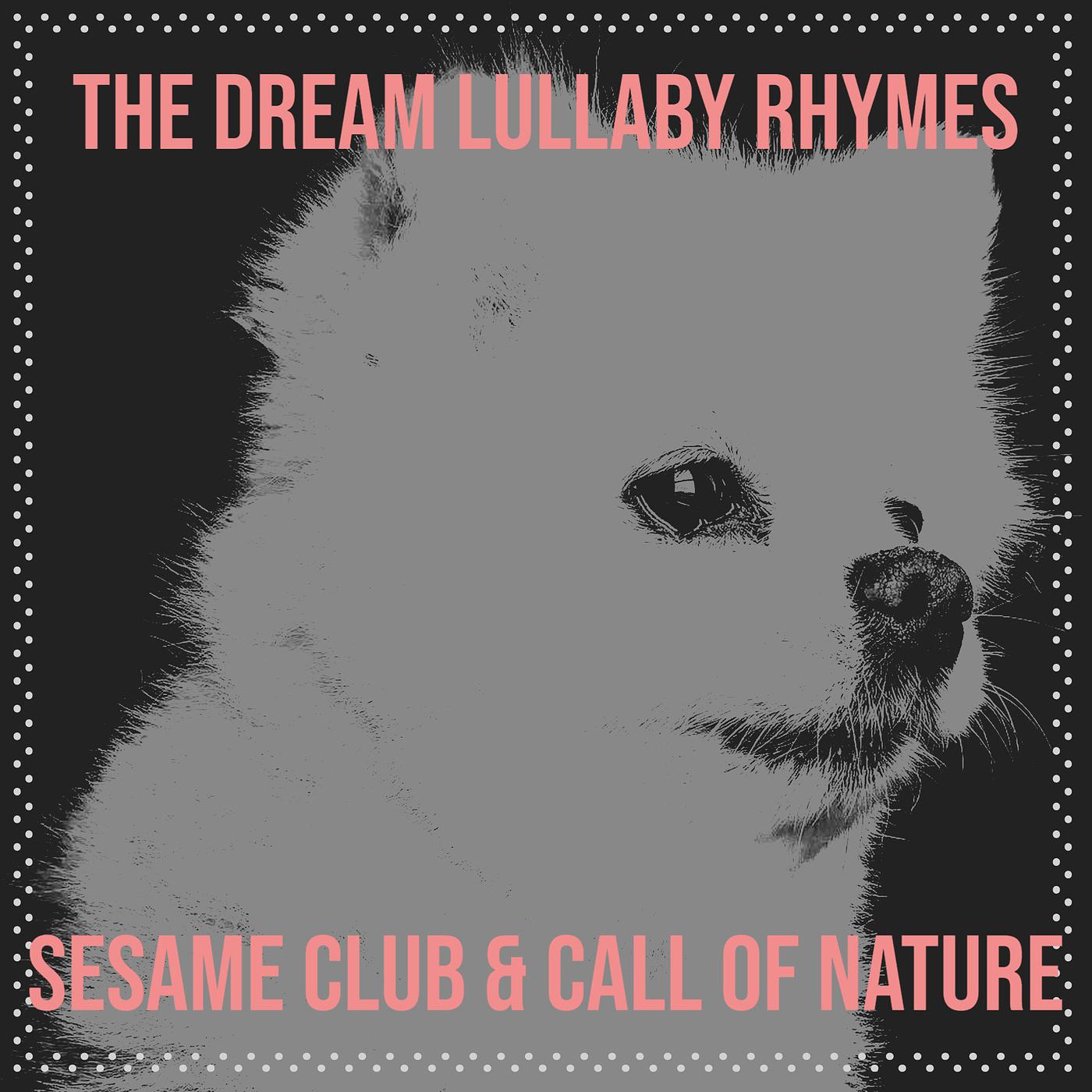 Постер альбома The Dream Lullaby Rhymes