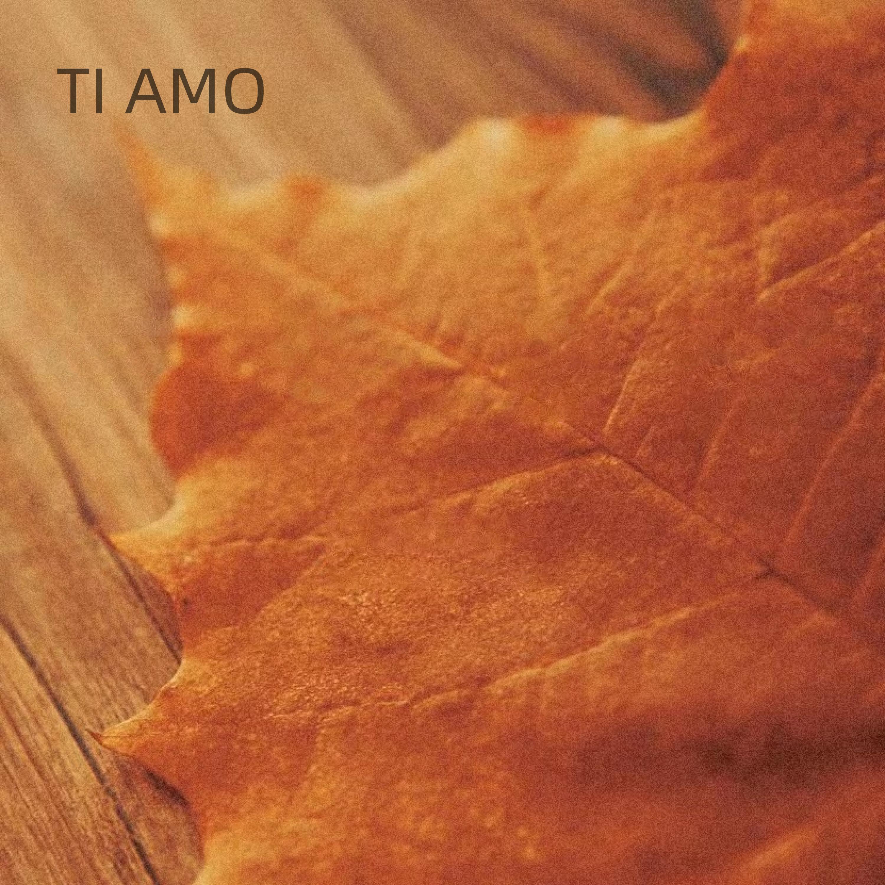 Постер альбома TI AMO