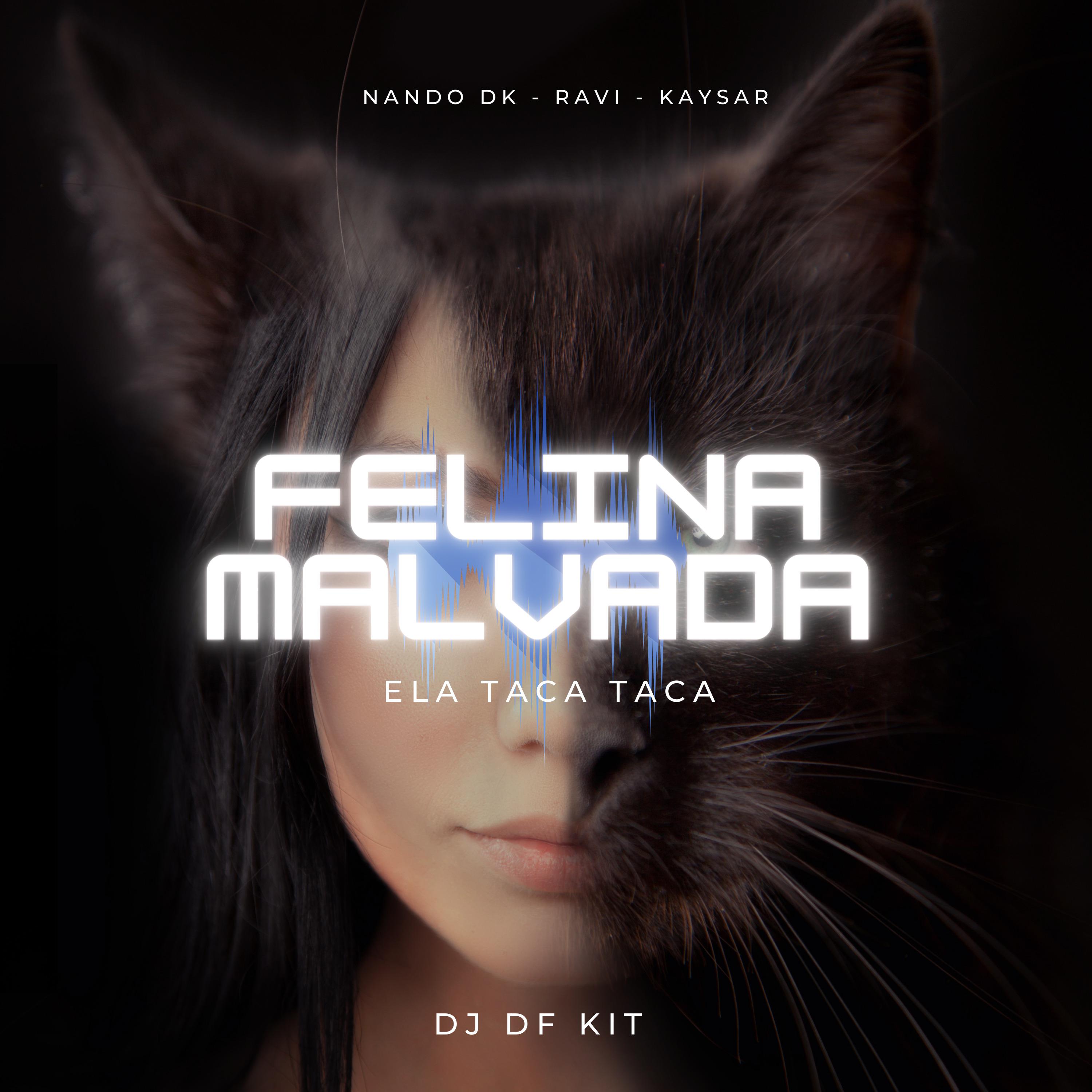 Постер альбома Felina Malvada (Ela Taca Taca)