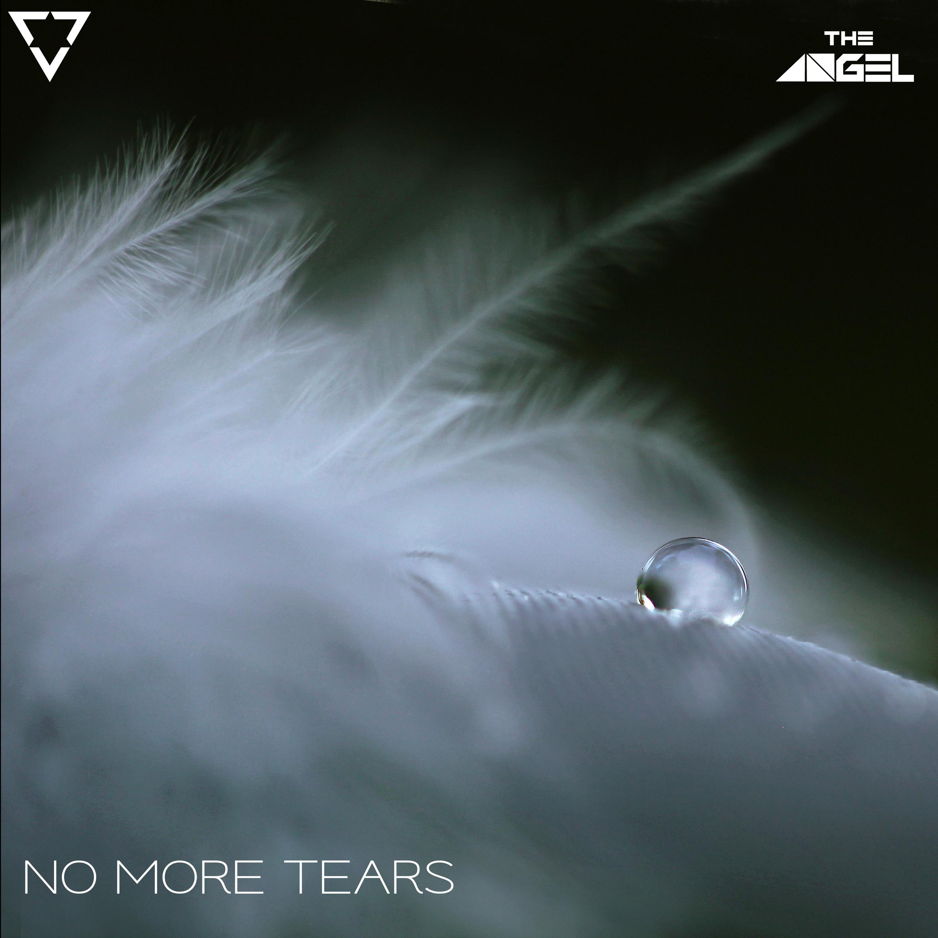 Постер альбома No More Tears