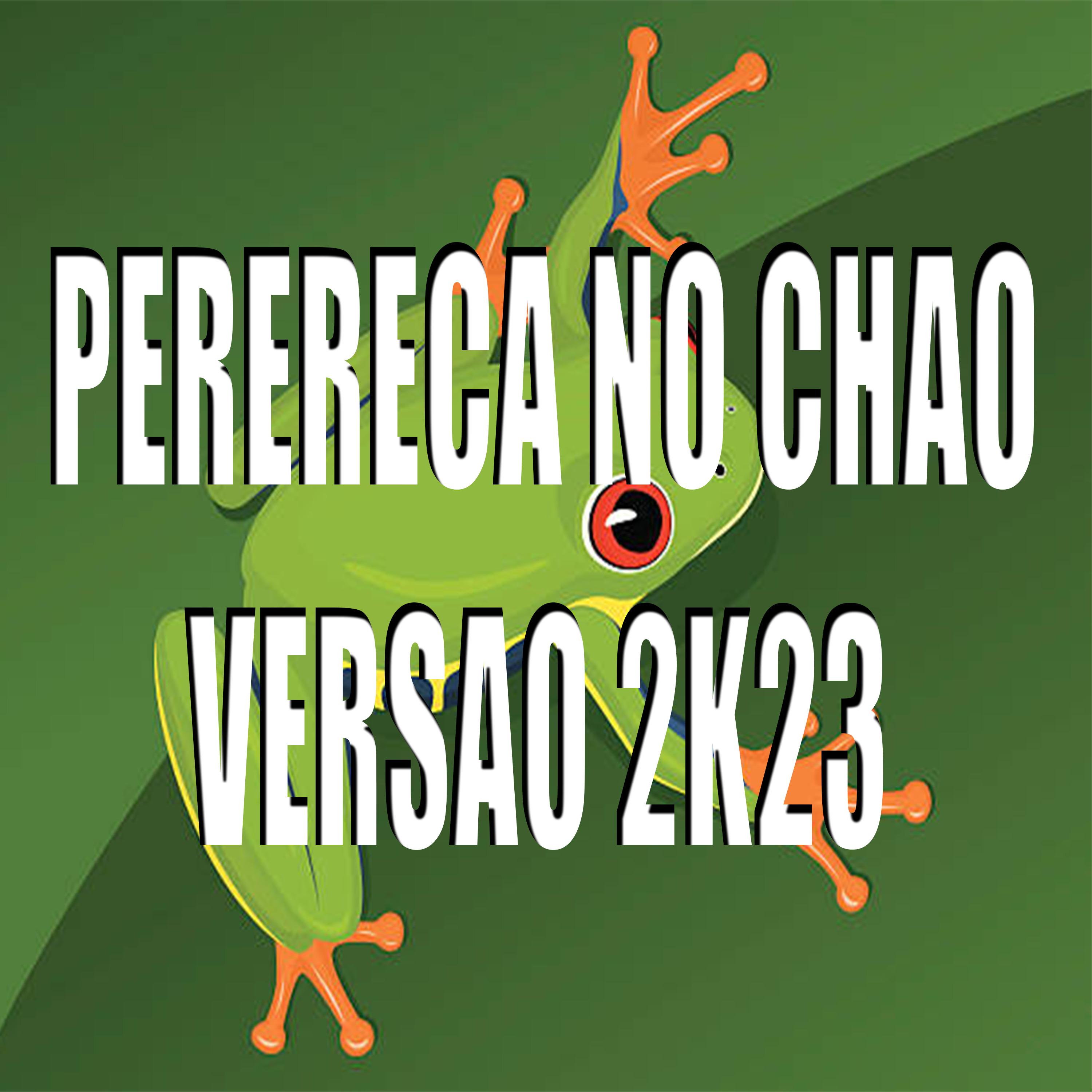 Постер альбома Perereca no Chao Versao 2K23