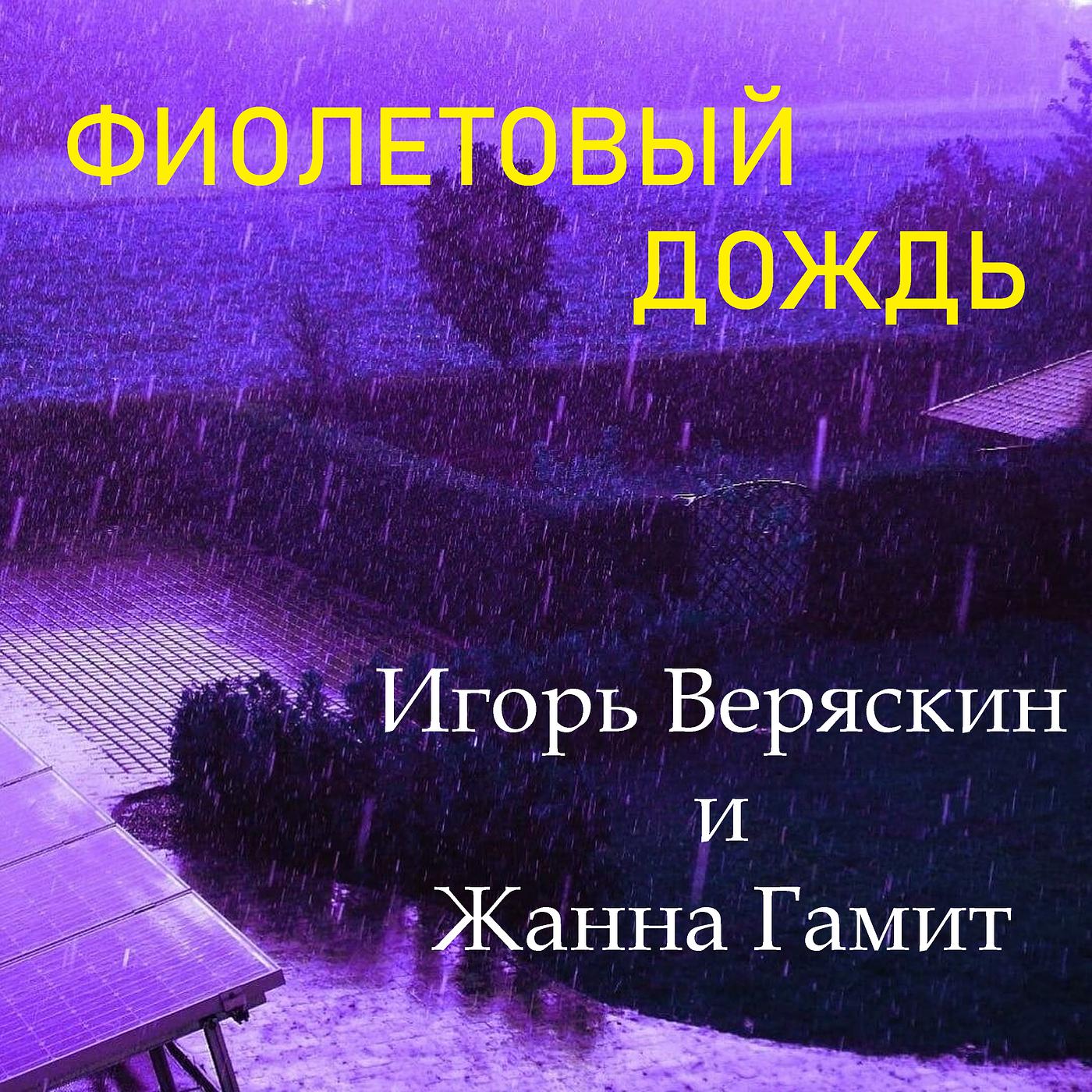 Постер альбома Фиолетовый дождь