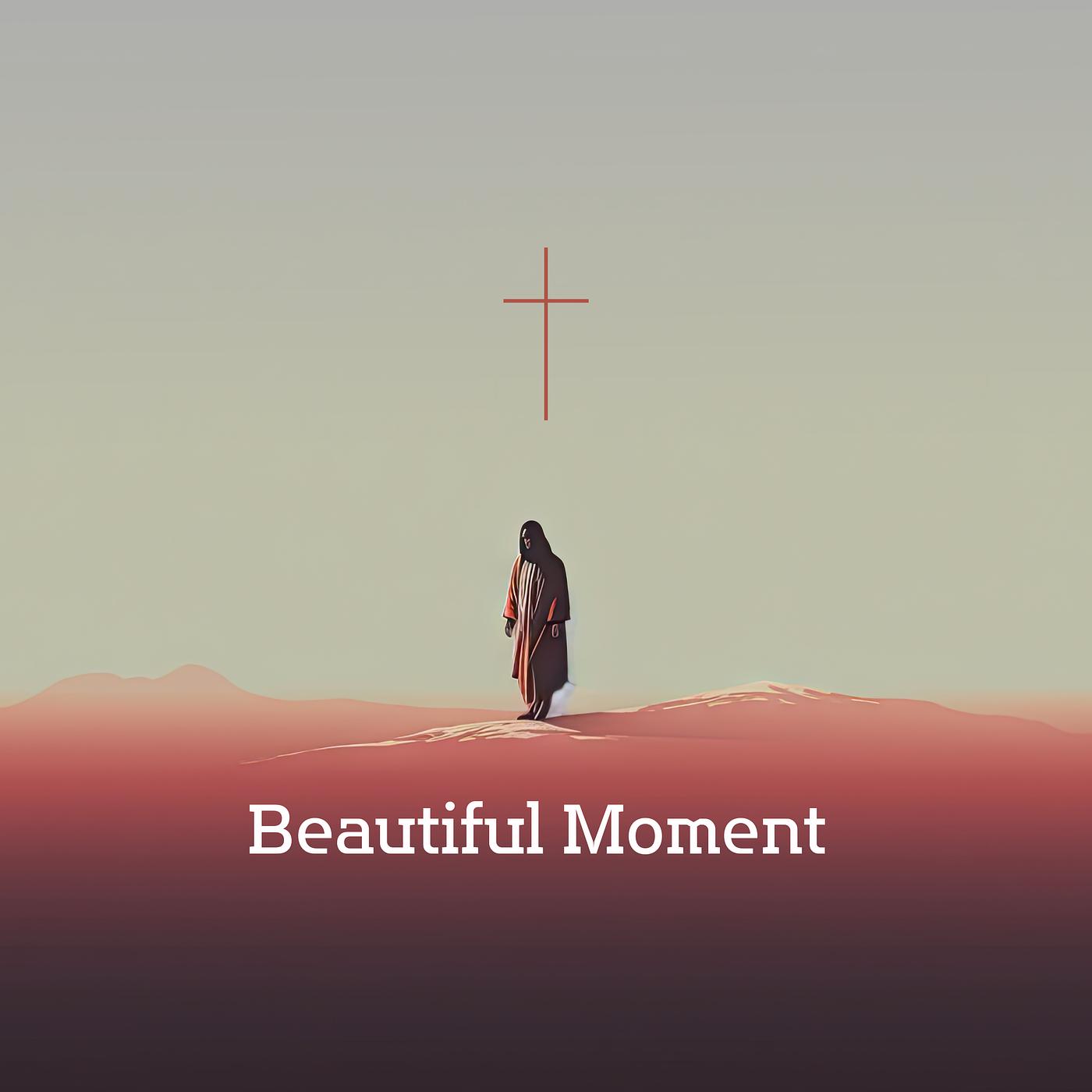 Постер альбома Beautiful Moment