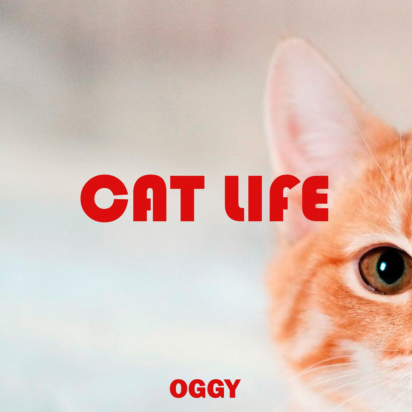 Постер альбома Cat Life