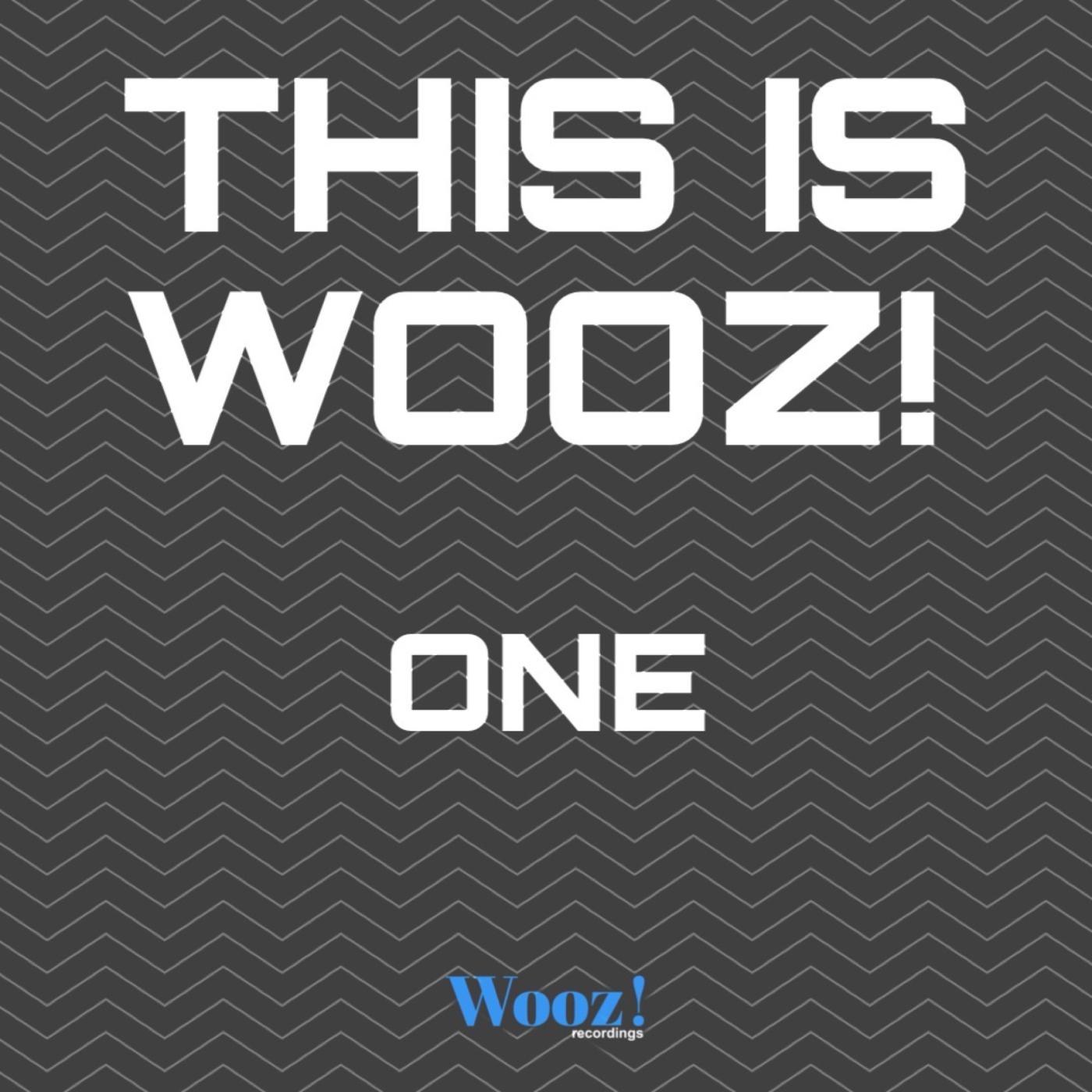 Постер альбома This is Wooz! - One