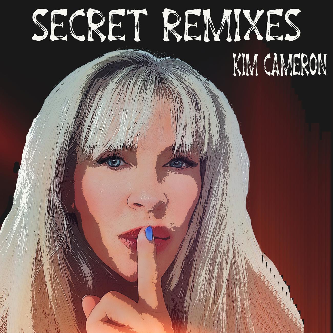 Постер альбома Secret Remixes