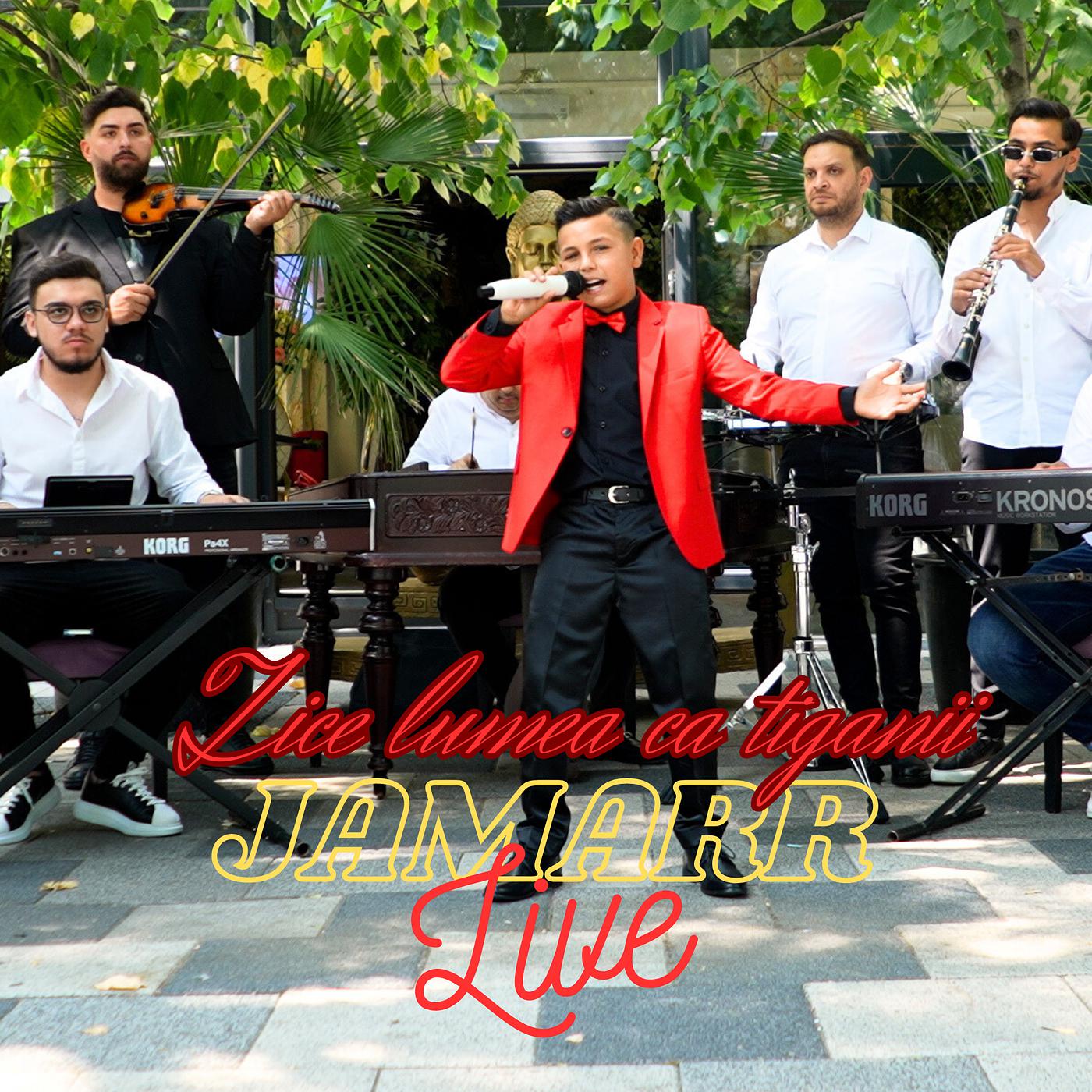 Постер альбома Zice Lumea Ca Tiganii ( Live at DeSanto Music )