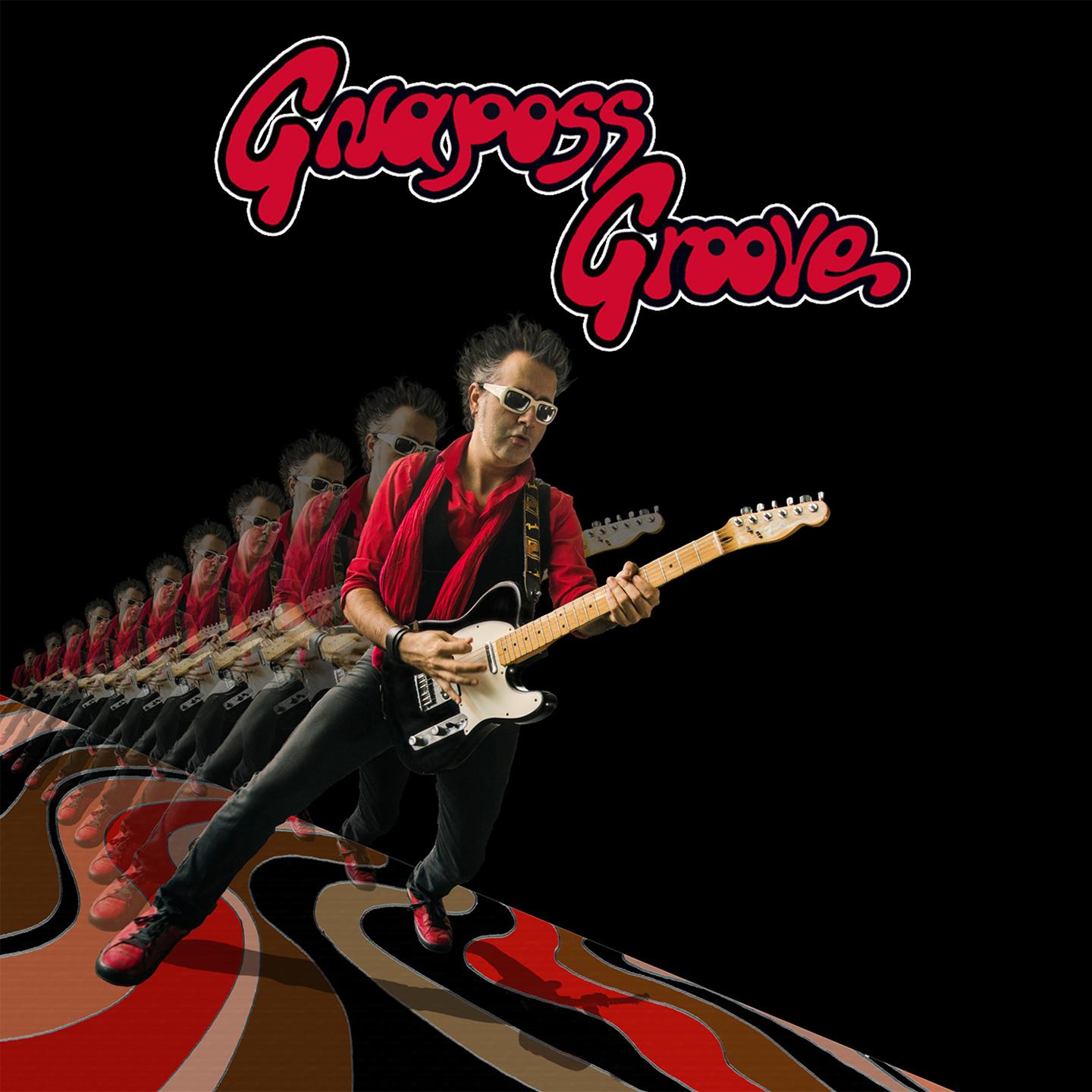 Постер альбома Gnaposs Groove