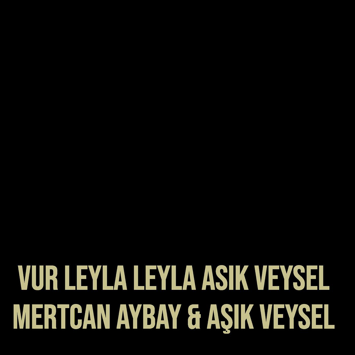 Постер альбома Vur Leyla Leyla Asik Veysel