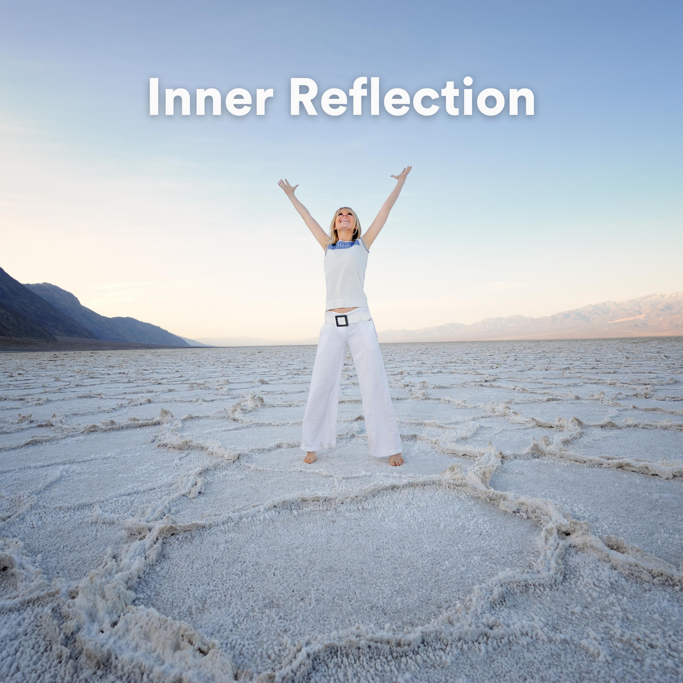 Постер альбома Inner Reflection